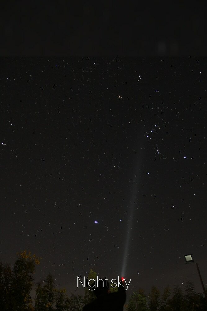 Фото Tusk and Roar Corbett Resort