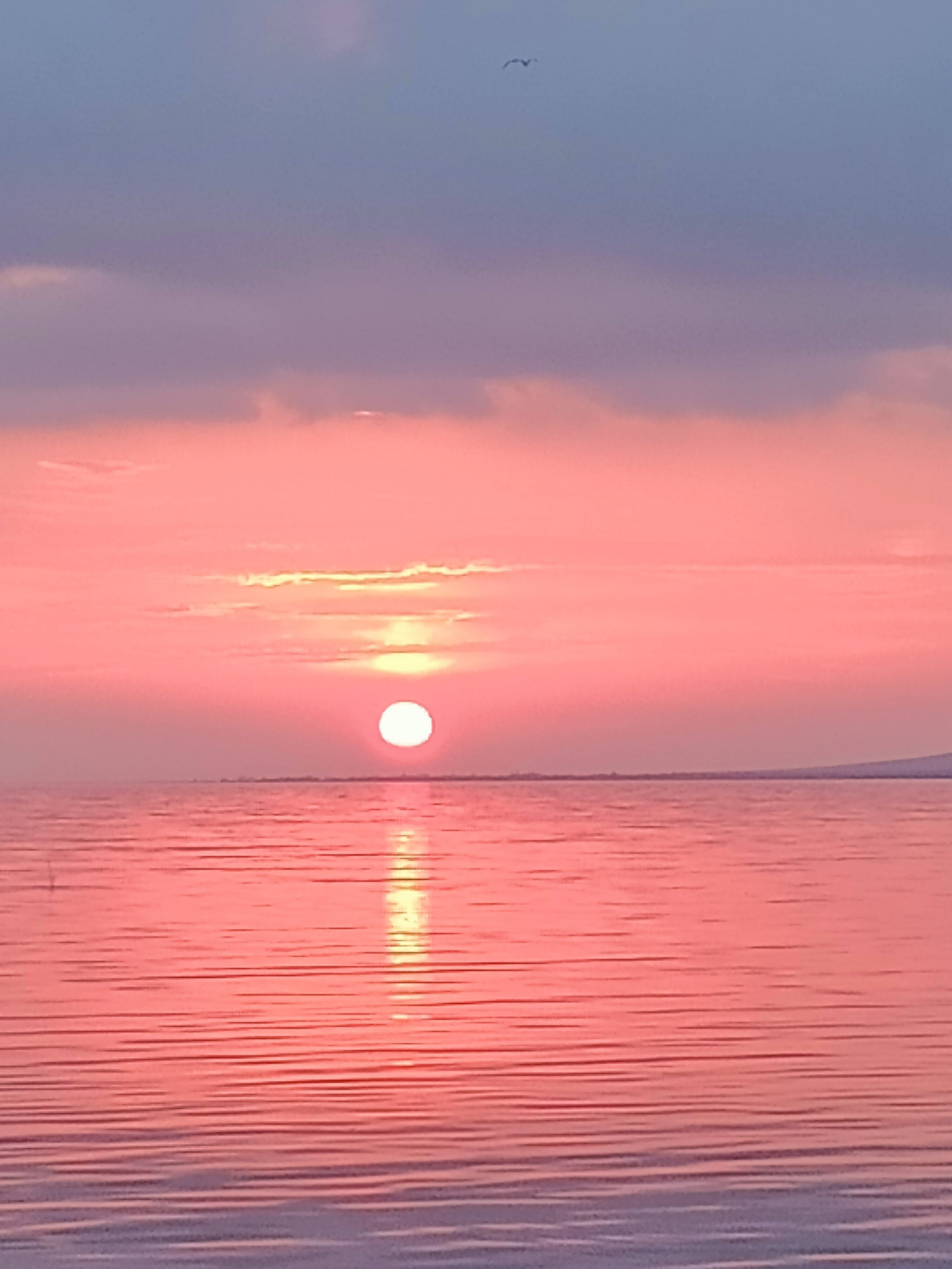 Фото Домики у Моря