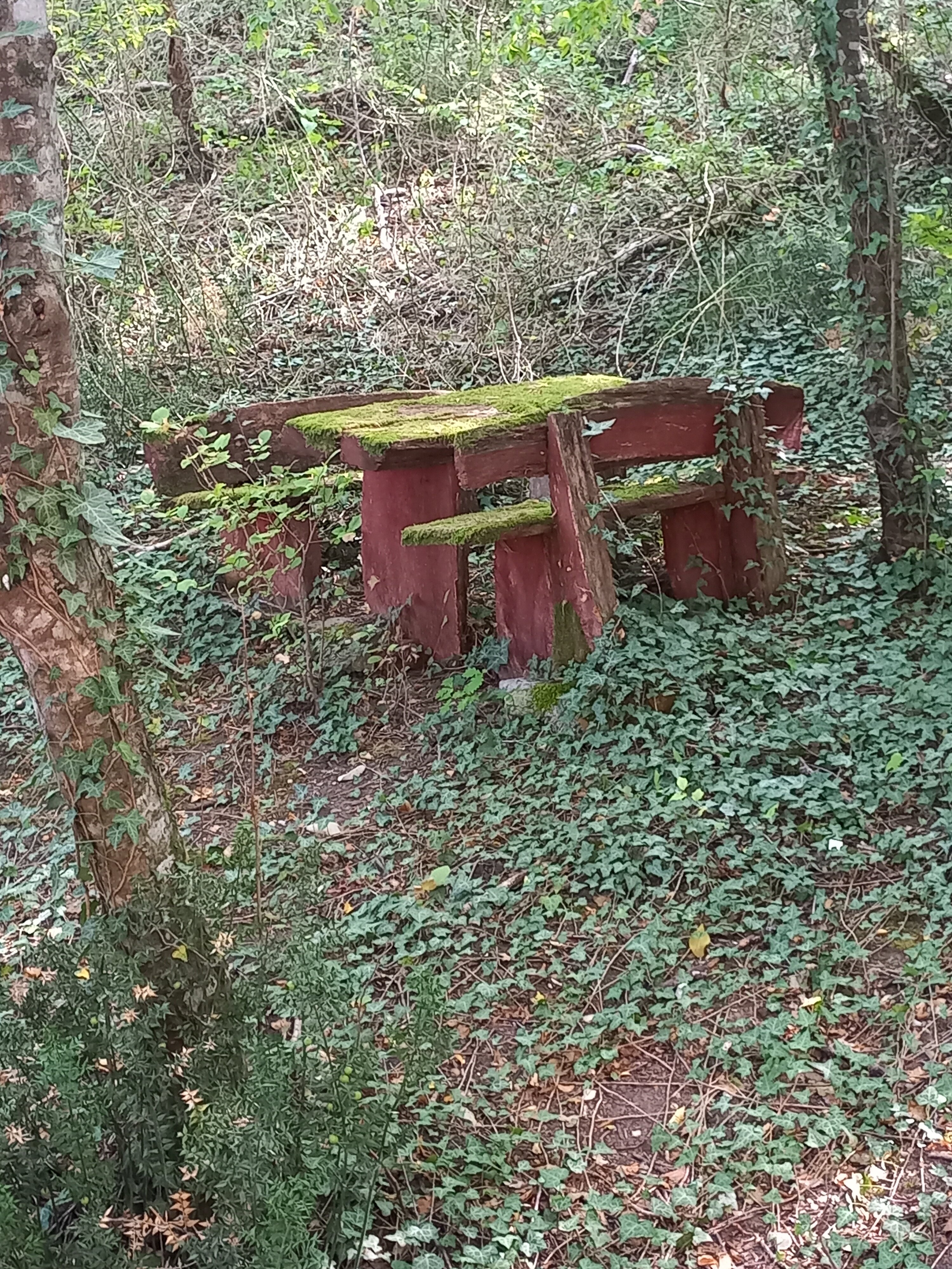 Фото Затерянный рай