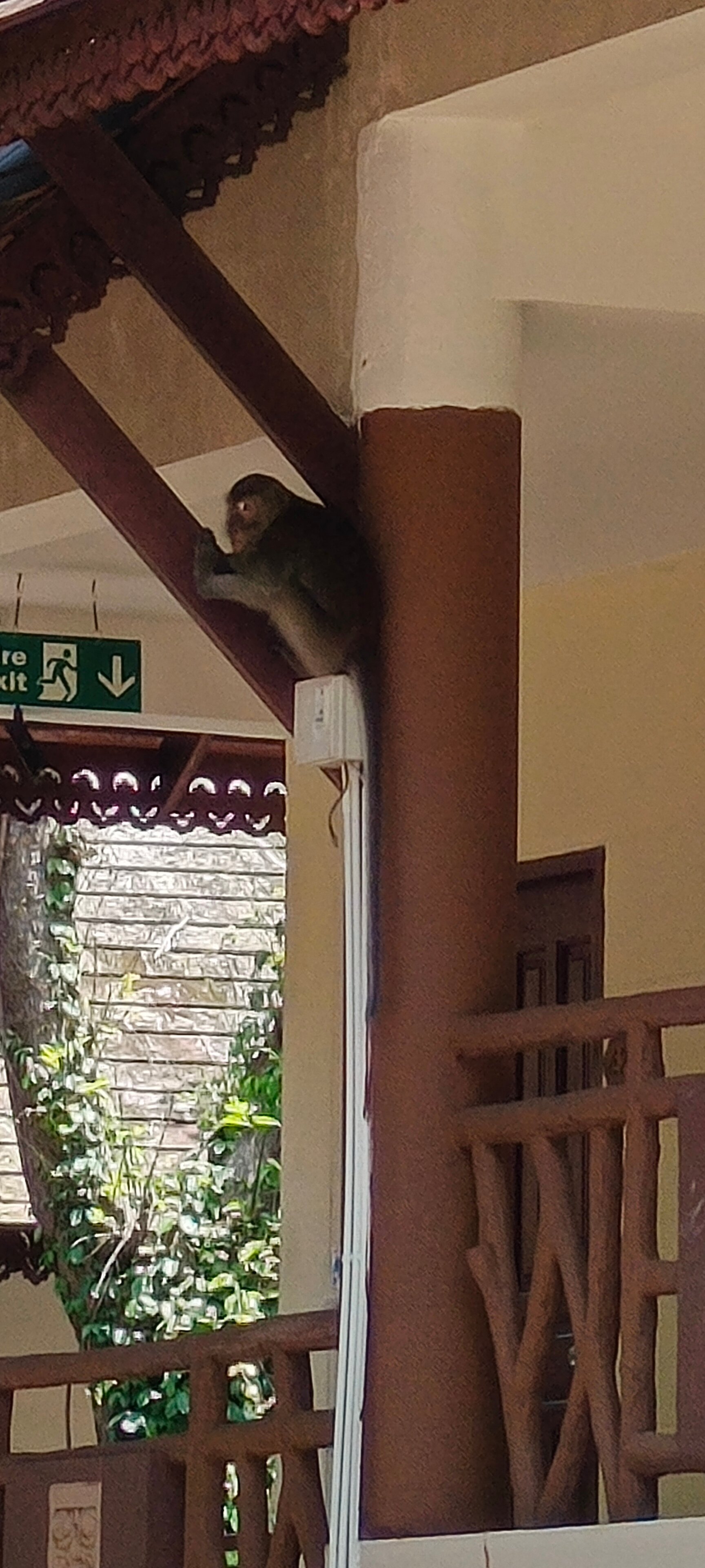 Фото Anyavee AO Nang Bay Resort