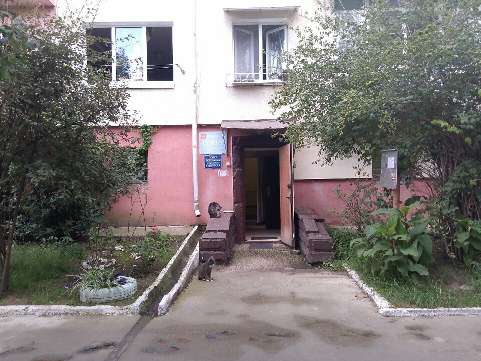 Community organization Совет ветеранов и ТОС микрорайона Кудепста, Sochi, photo