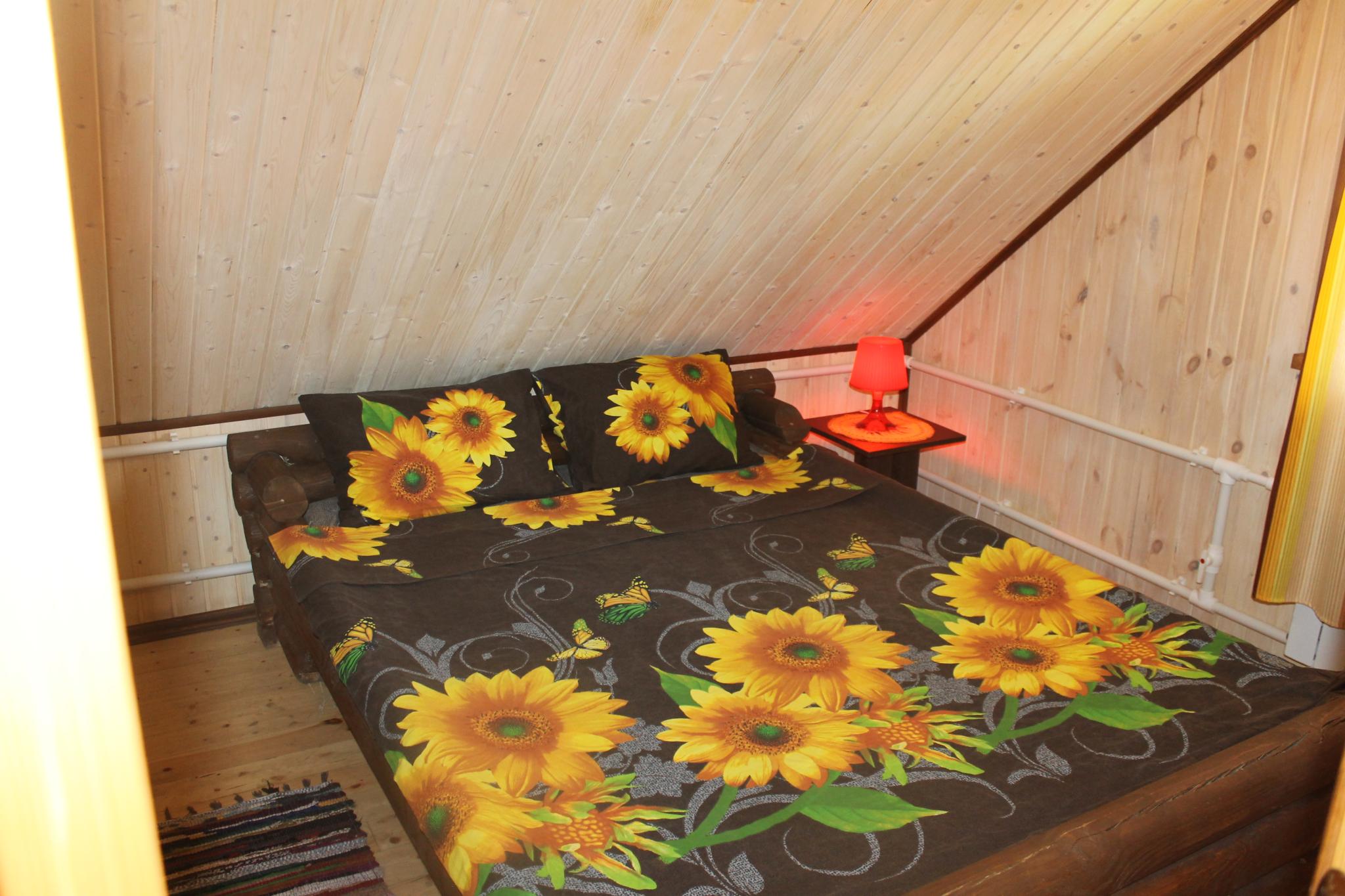 Фото Подсолнух