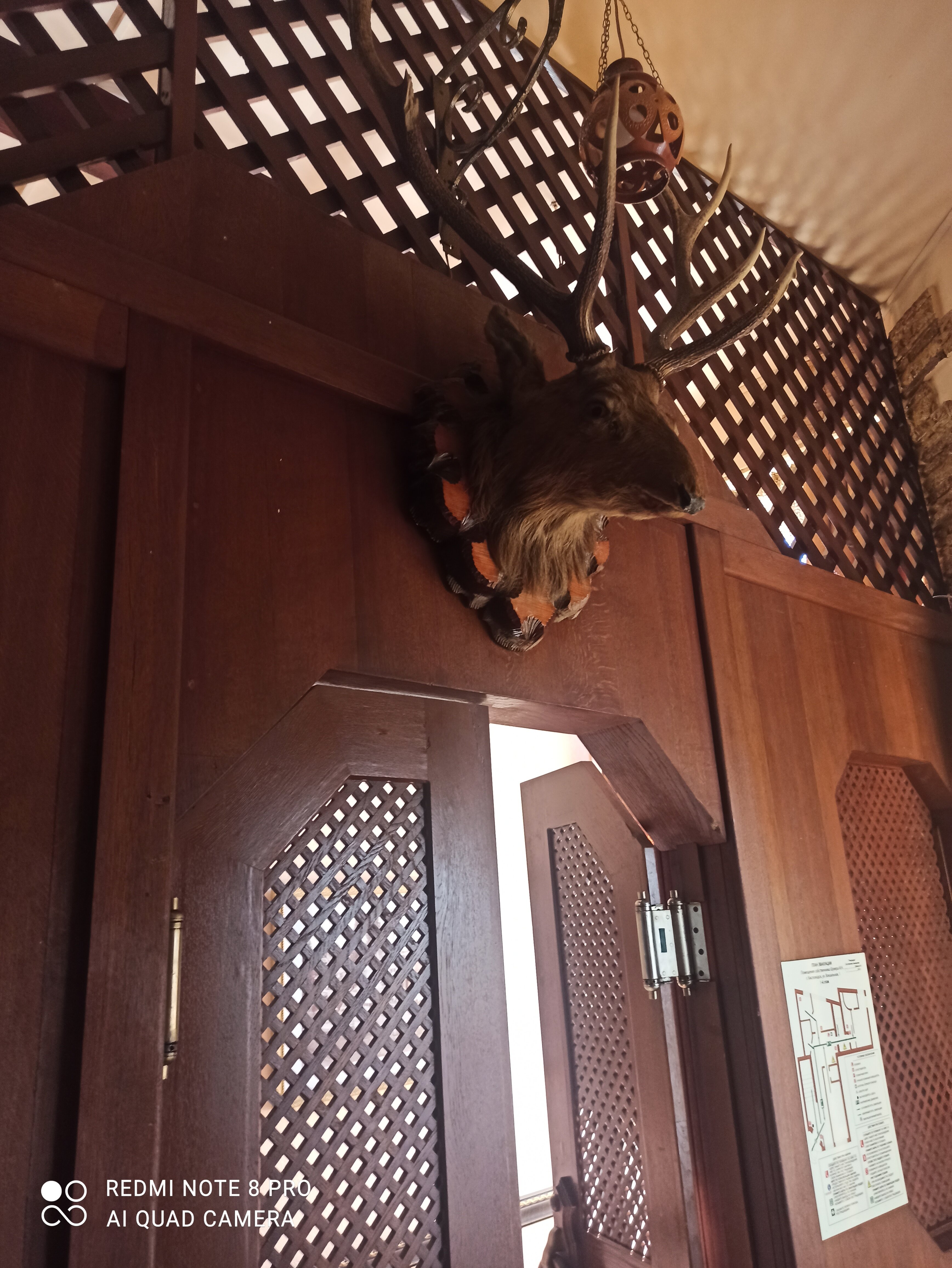 Фото Викинг