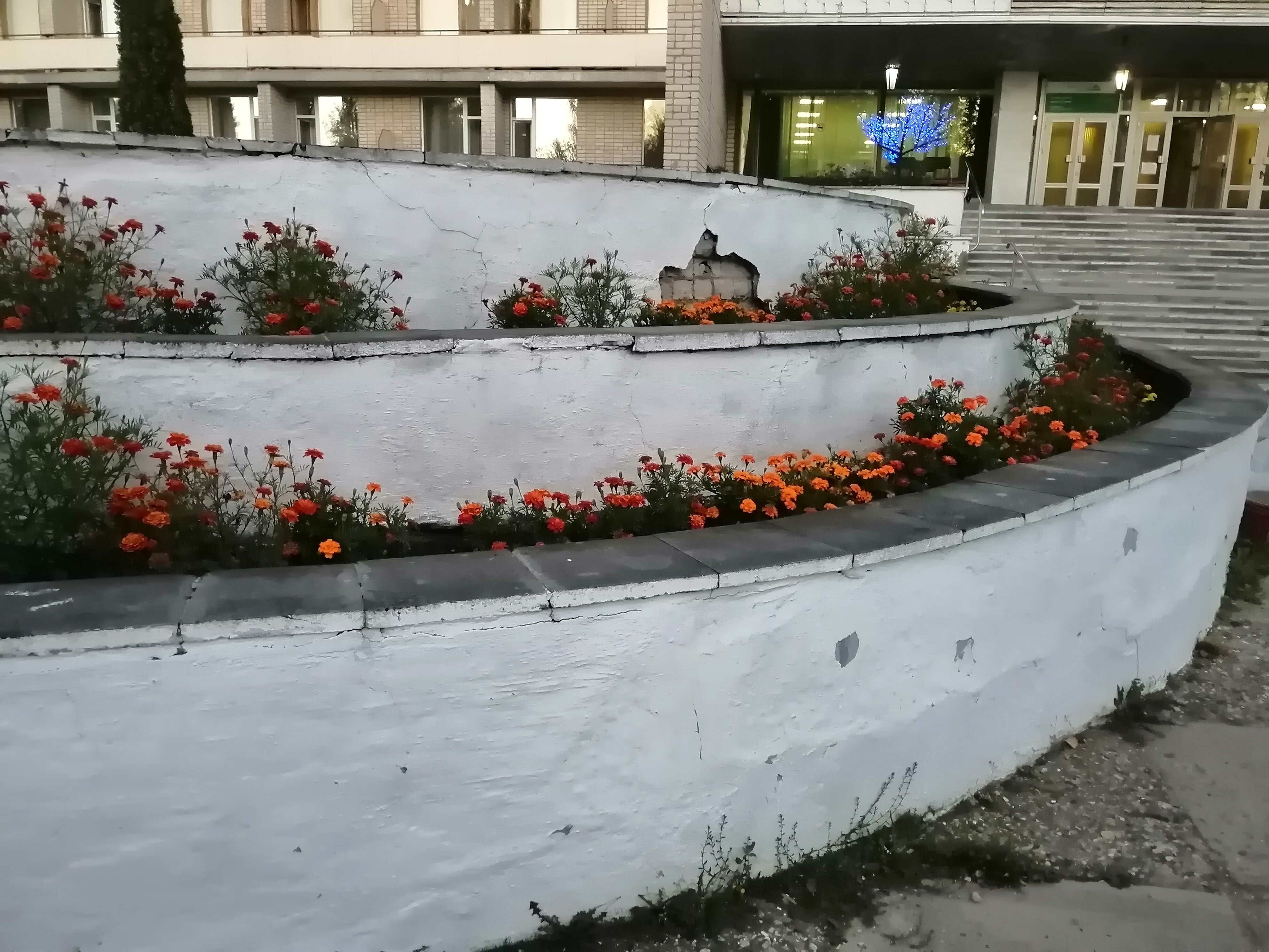 Фото Санаторий Митино