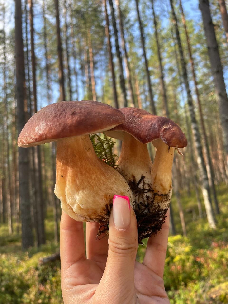 Фото Усадьба ДарЭли