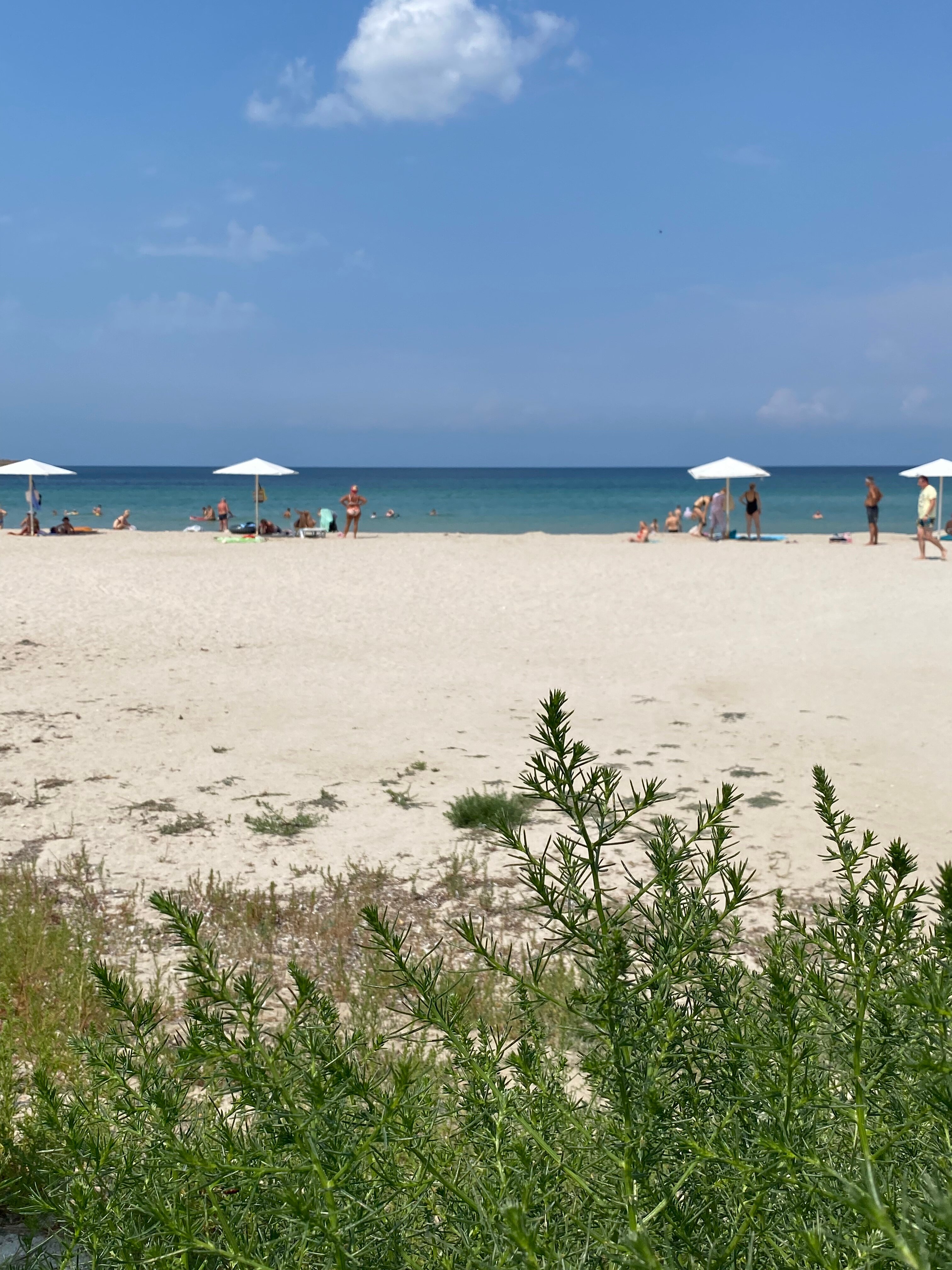 Фото Аппартамент с терассой в Итальянской деревне