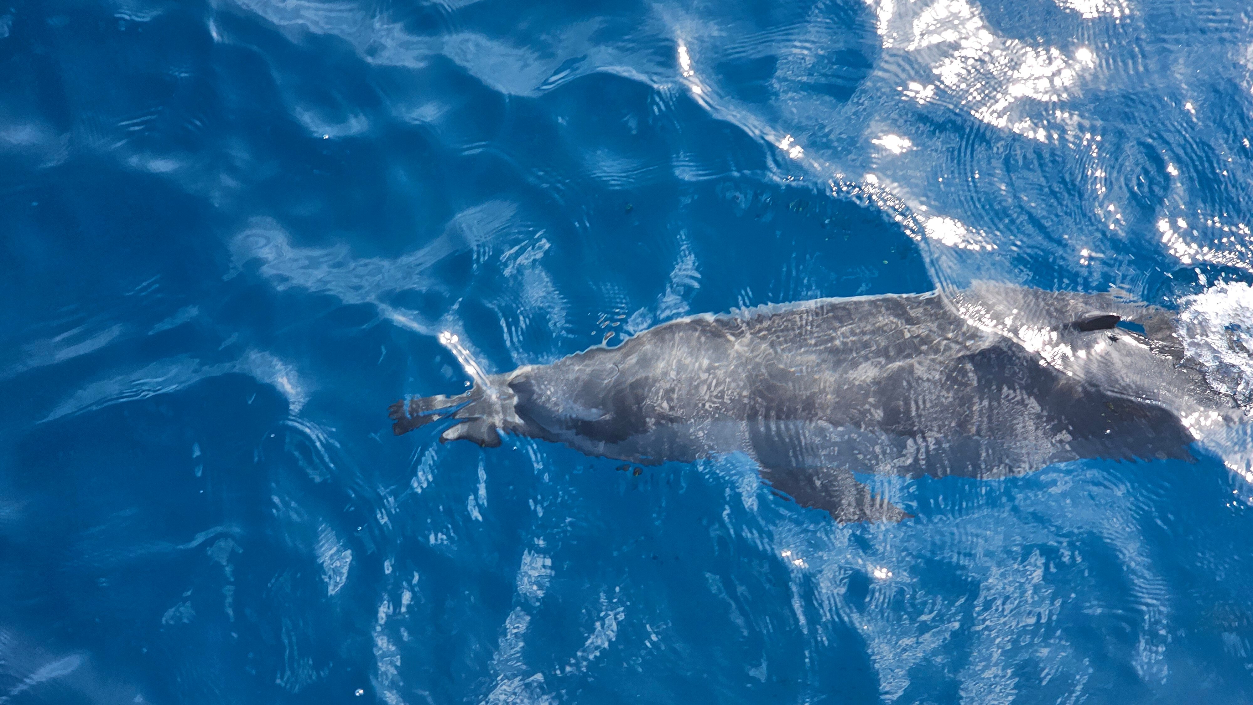 Фото Equator Village 