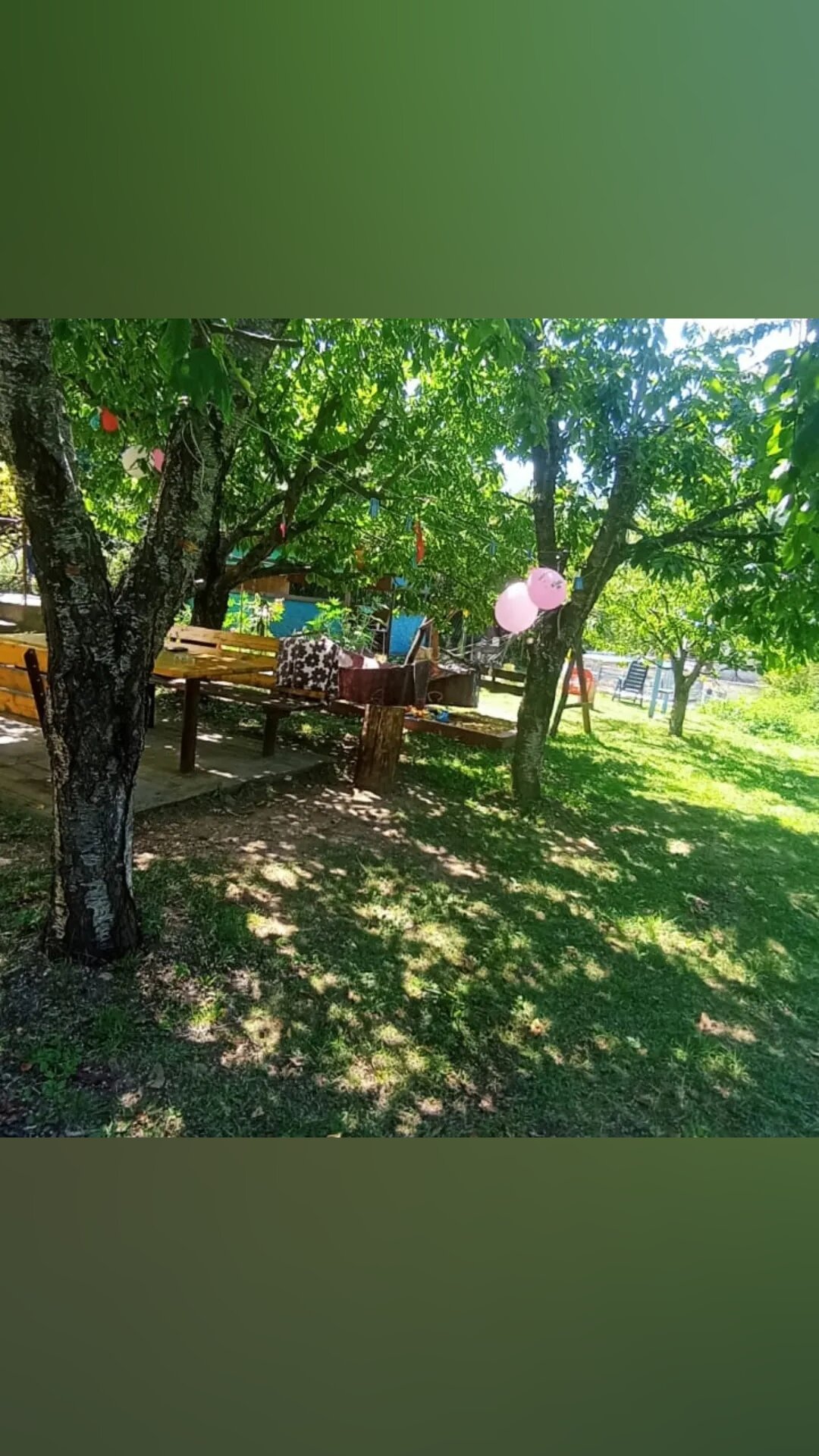 Фото Пчёлка