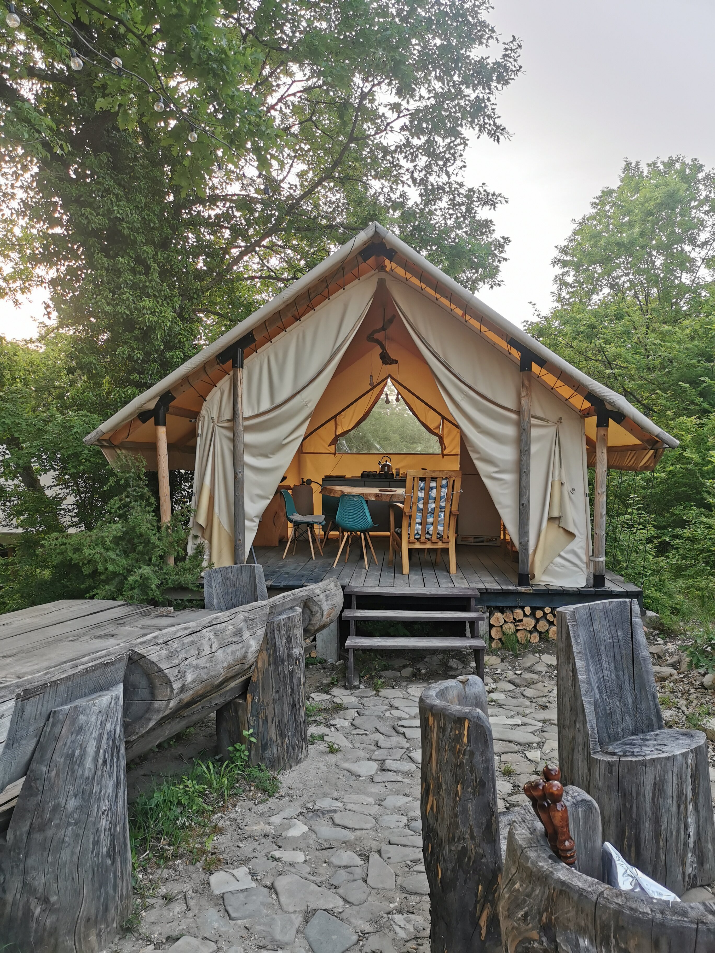 Фото Горный Енот