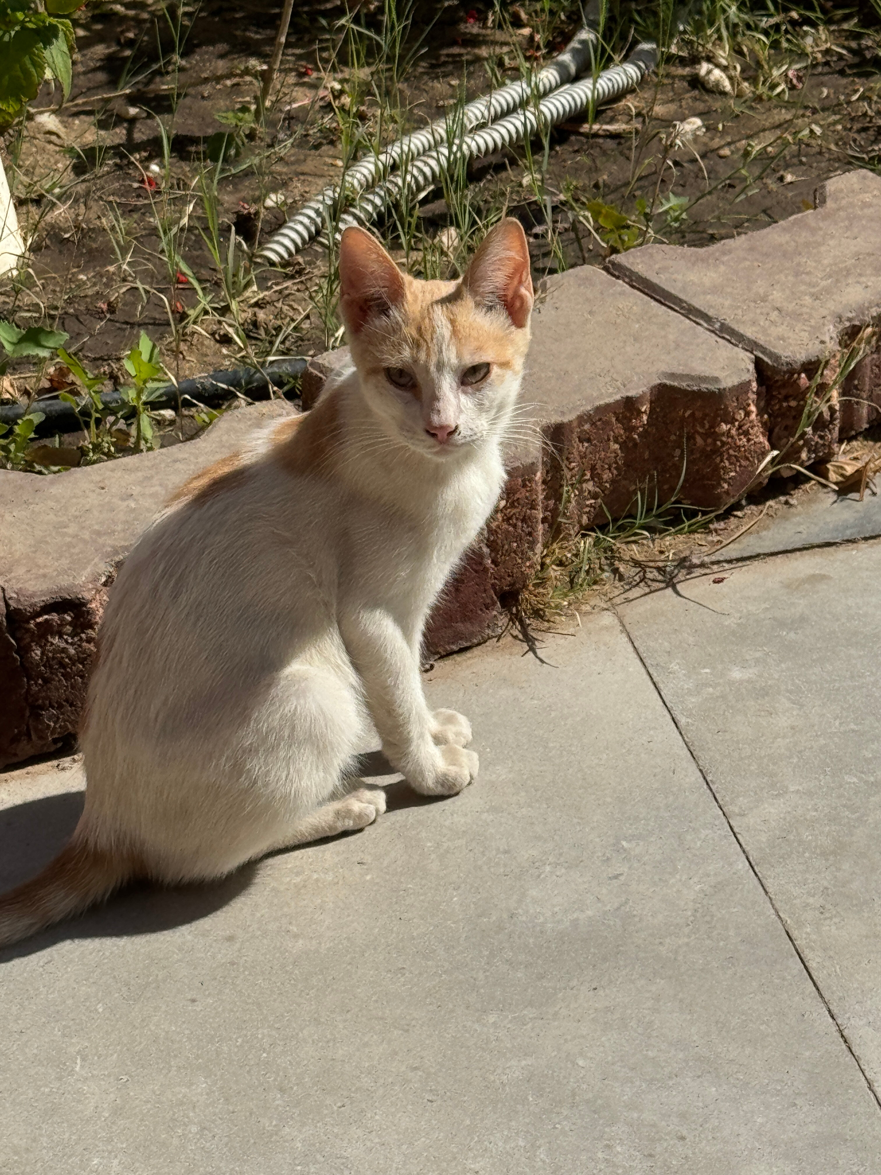 Фото Sun and Sea