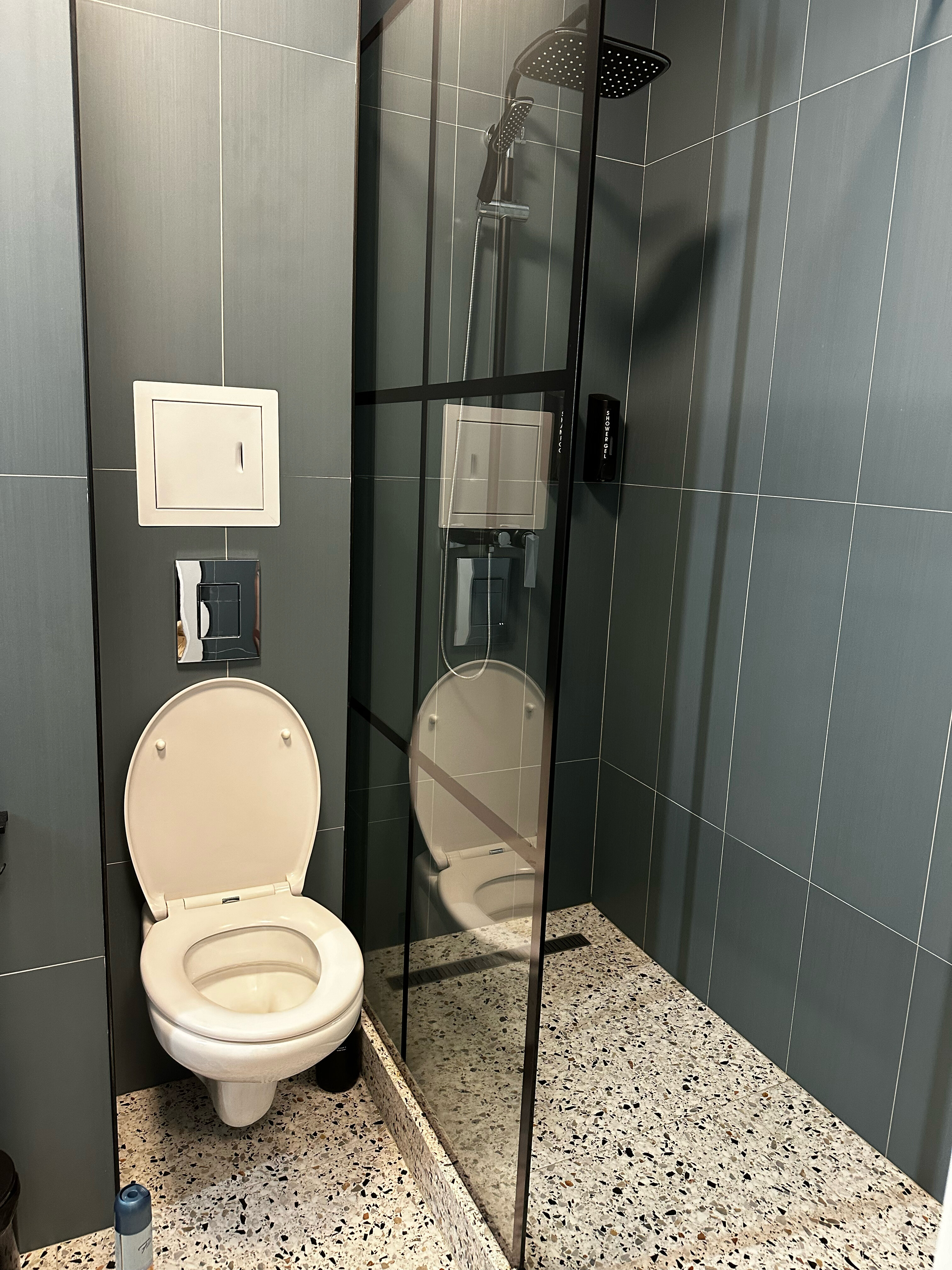 Фото Колибри