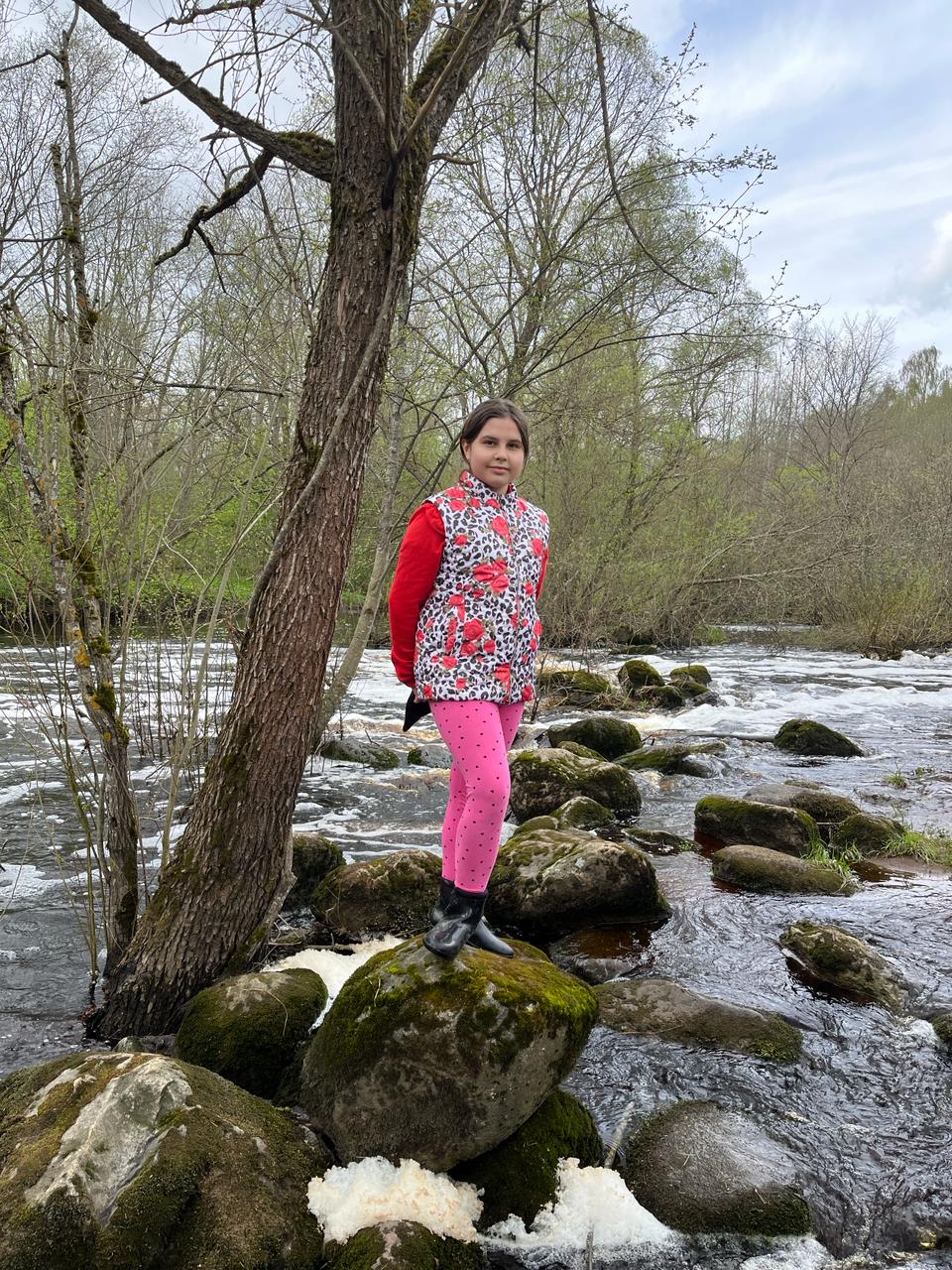 Фото Лаванда