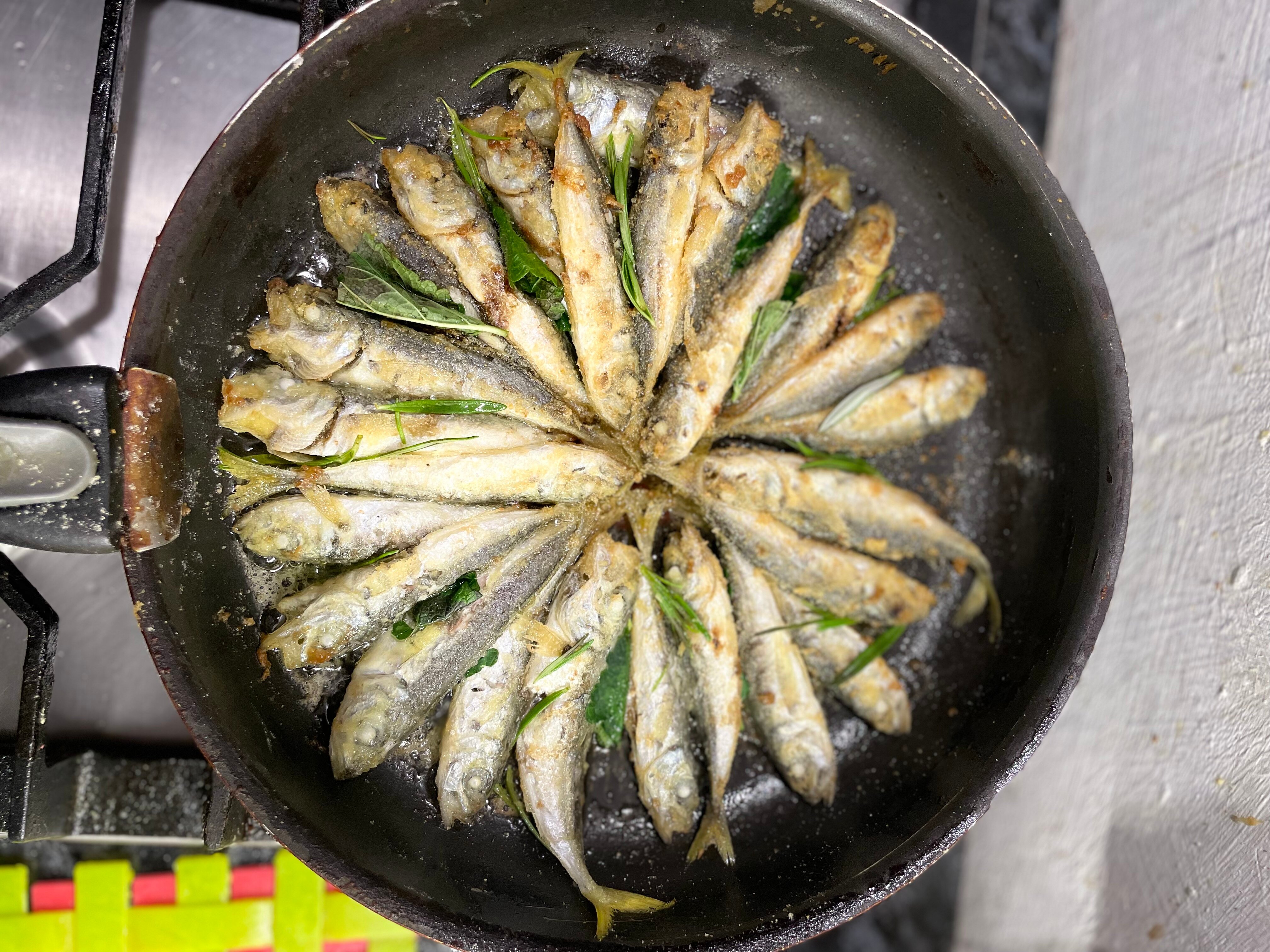 Фото Сиеста