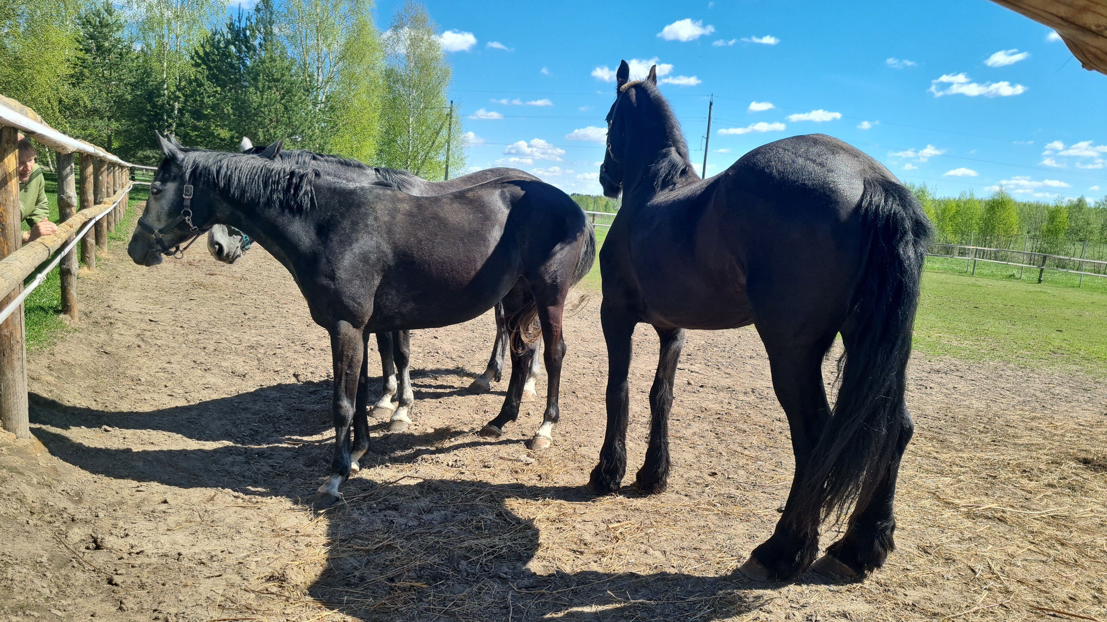 Фото Александровская Слобода