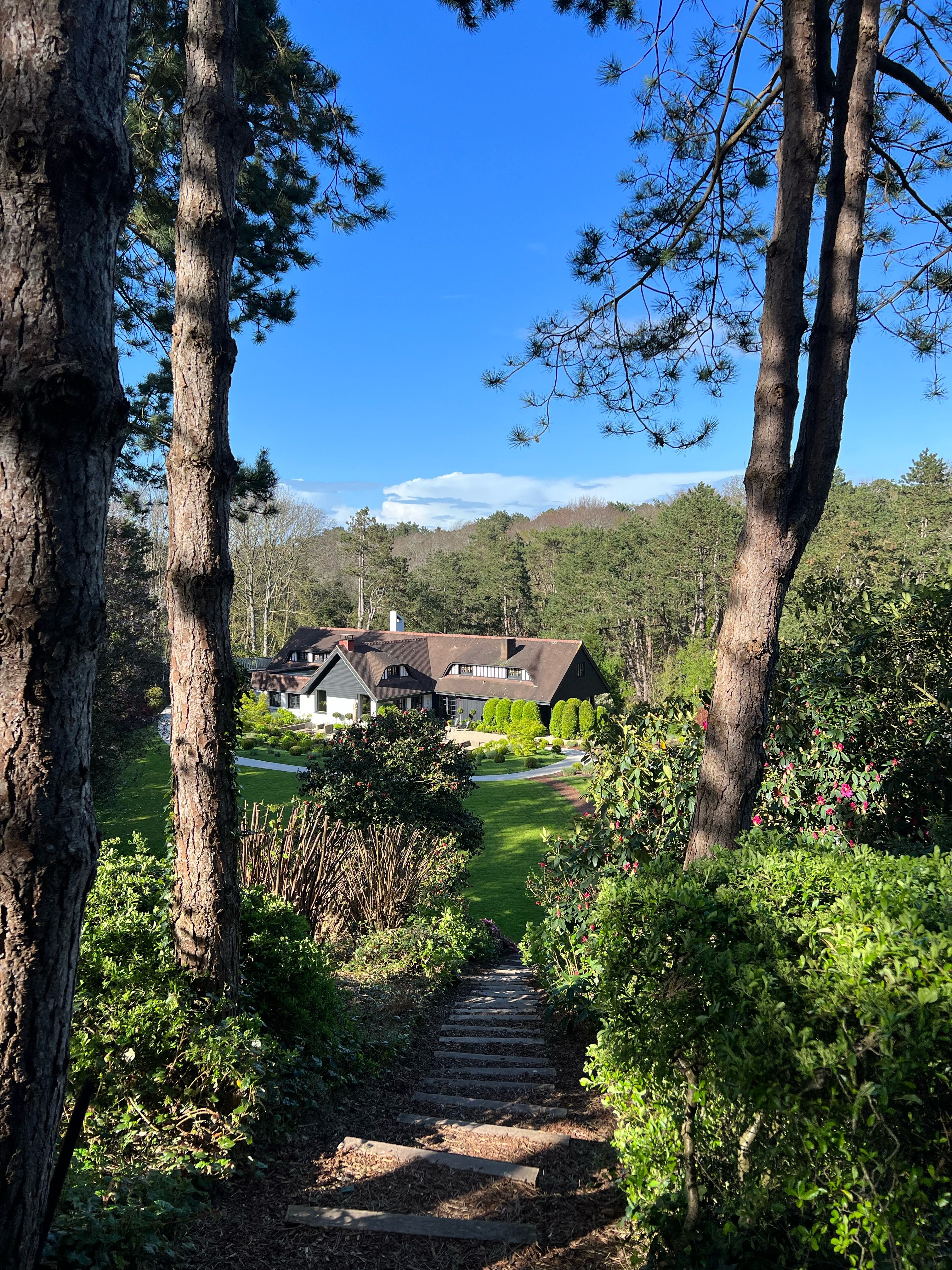 Фото Les Pins De Cesar