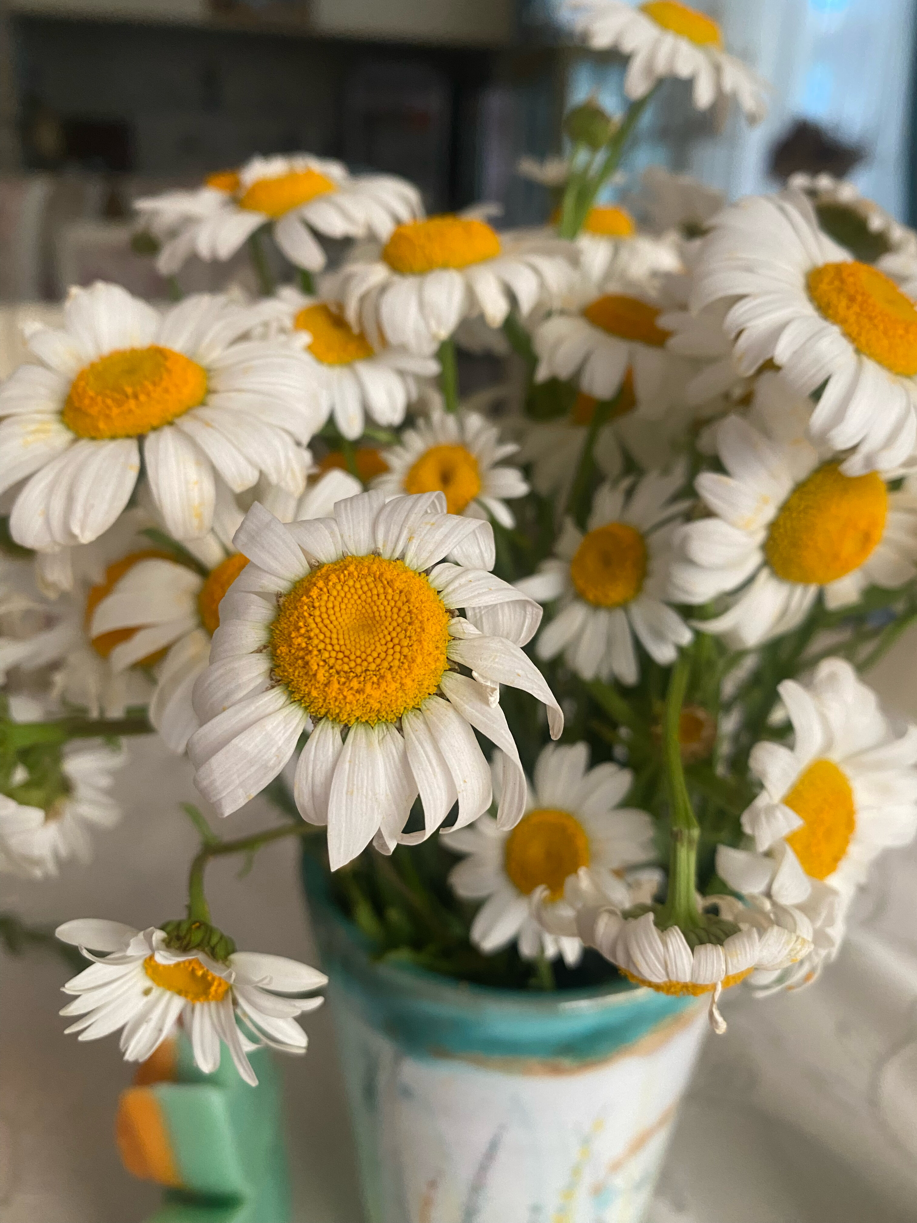 Фото Бирюза