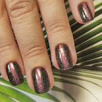 Silver nails (Zabolotye Village, Prokhladnaya Street, 39), podology