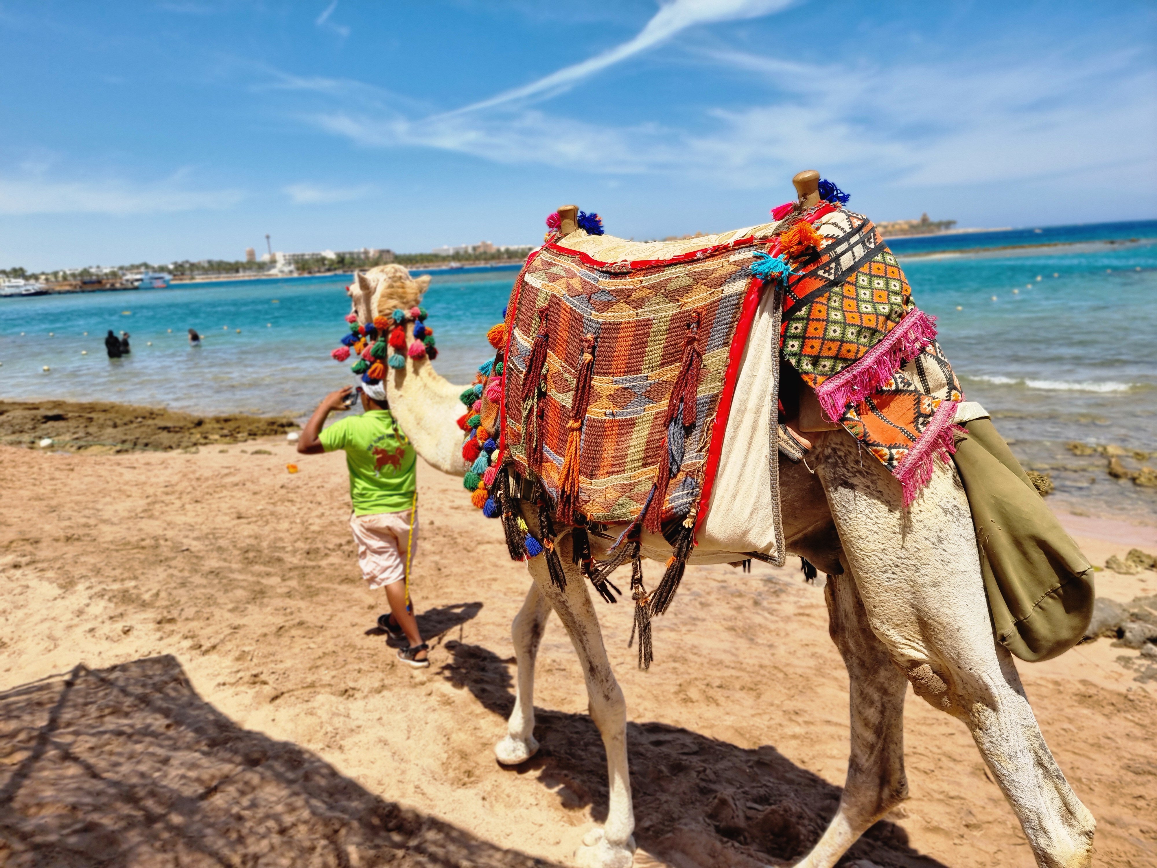 Фото Jaz Makadi Oasis Resort