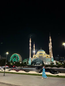 Центральная мечеть Сердце Чечни имени Ахмата Кадырова (просп. Хусейна Исаева, 90, Грозный), мечеть в Грозном