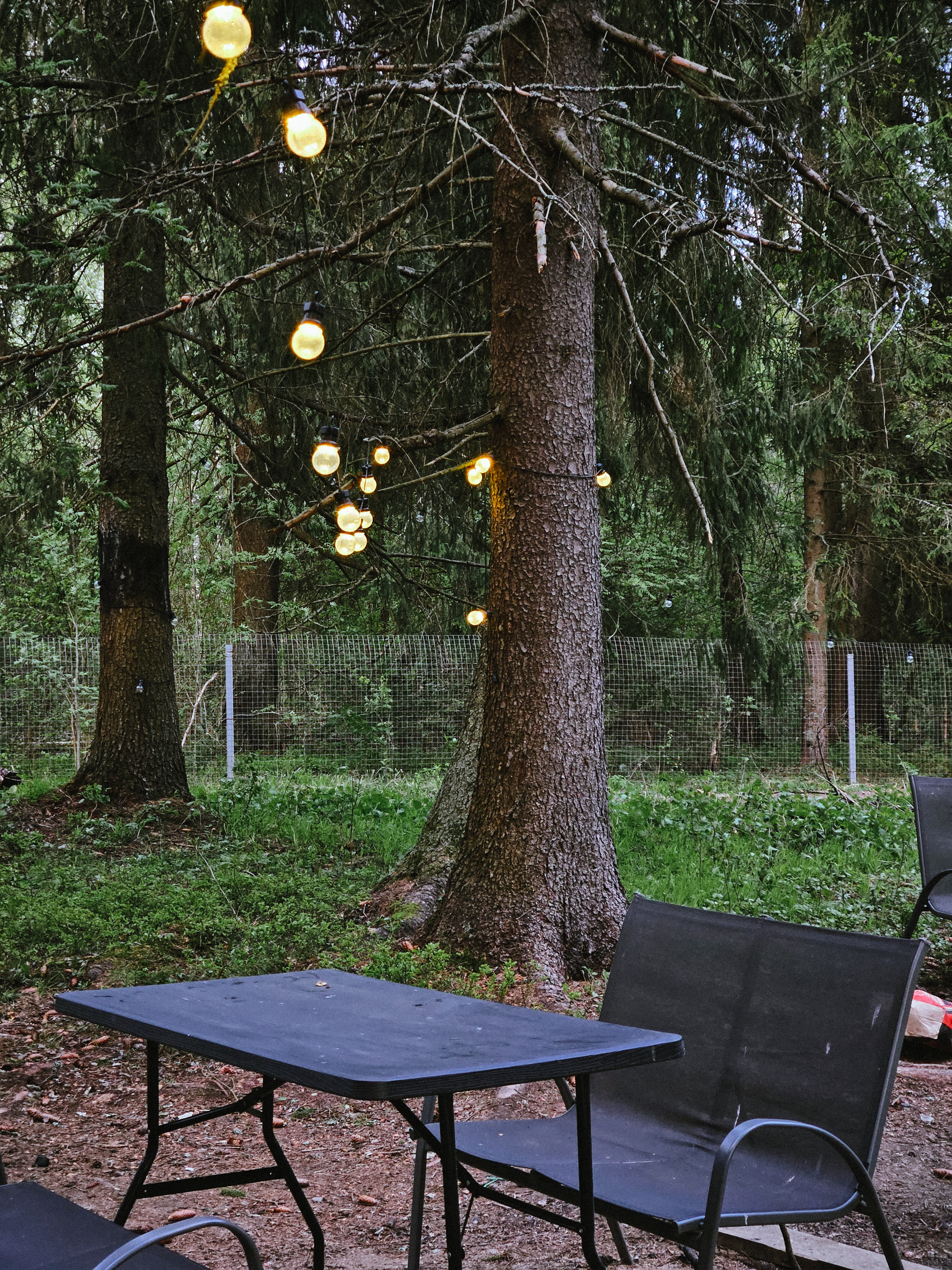 Фото Заповедник