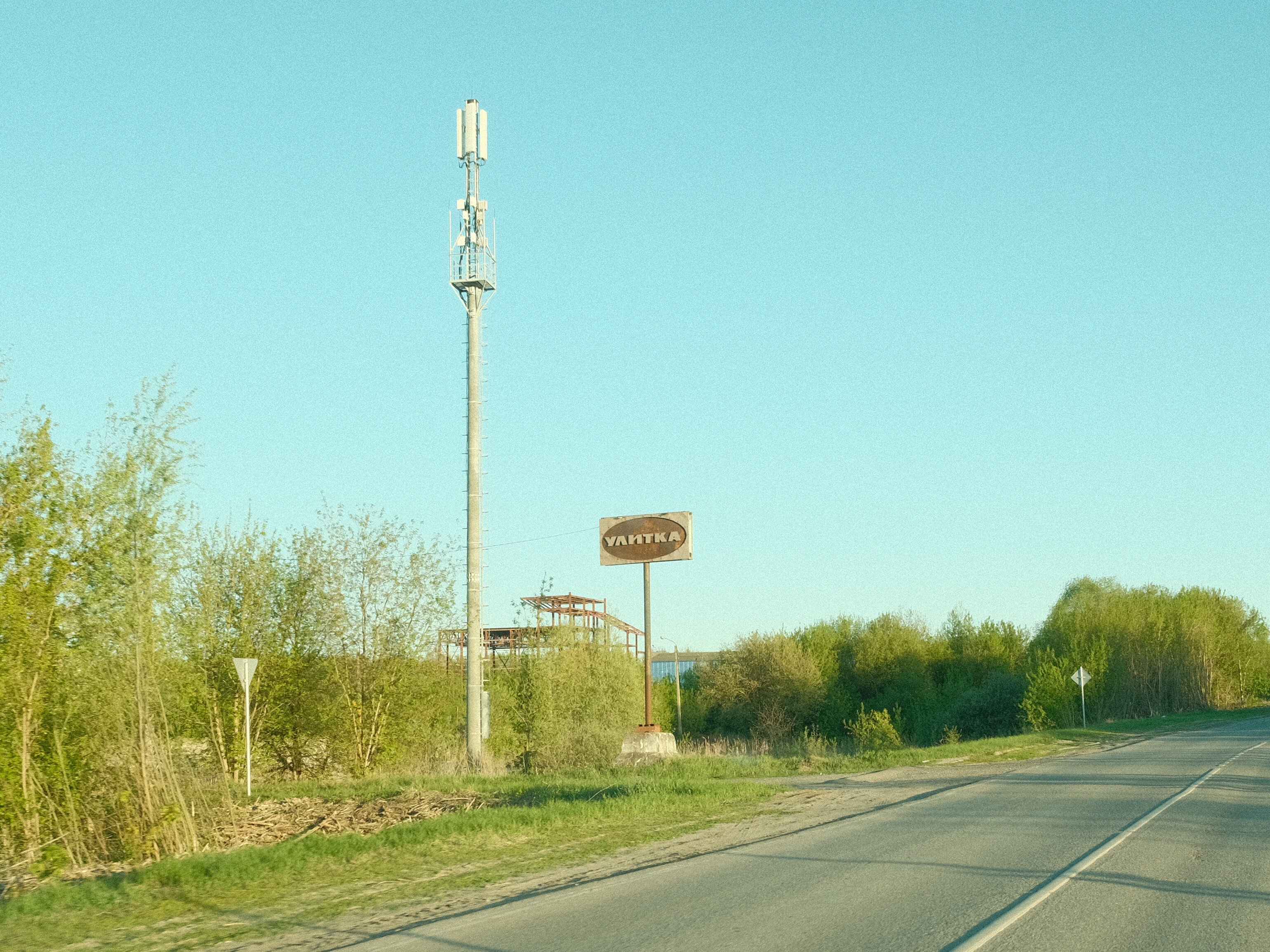 Фото Улитка