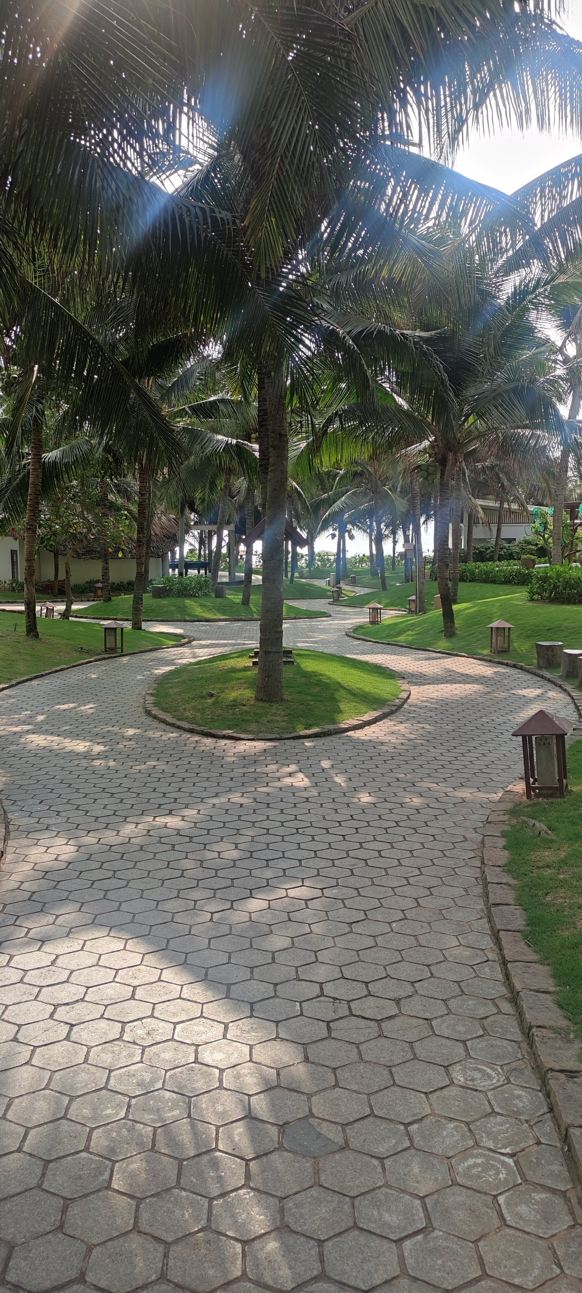 Фото Sonata Resort & SPA