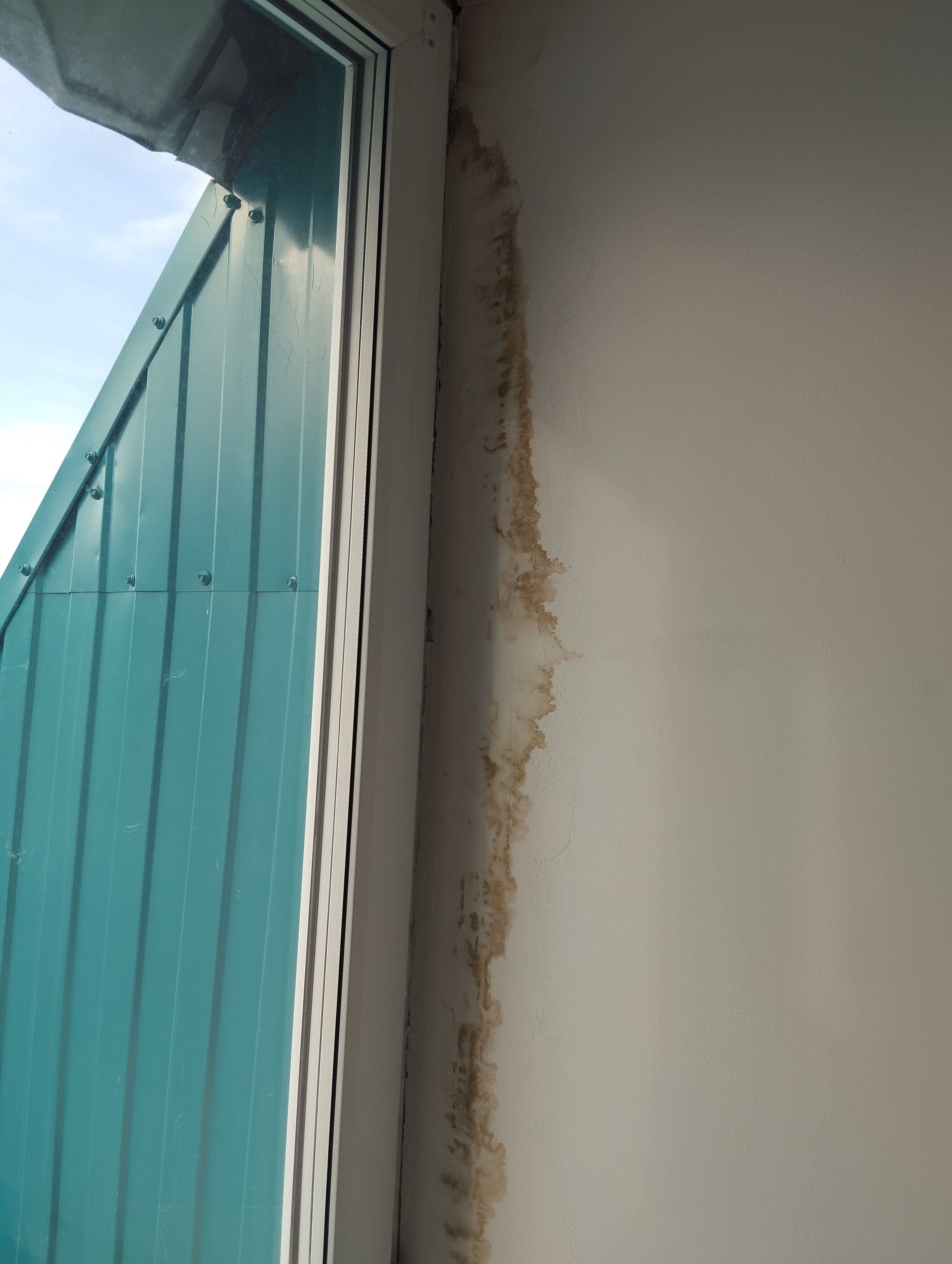 Фото Водолей