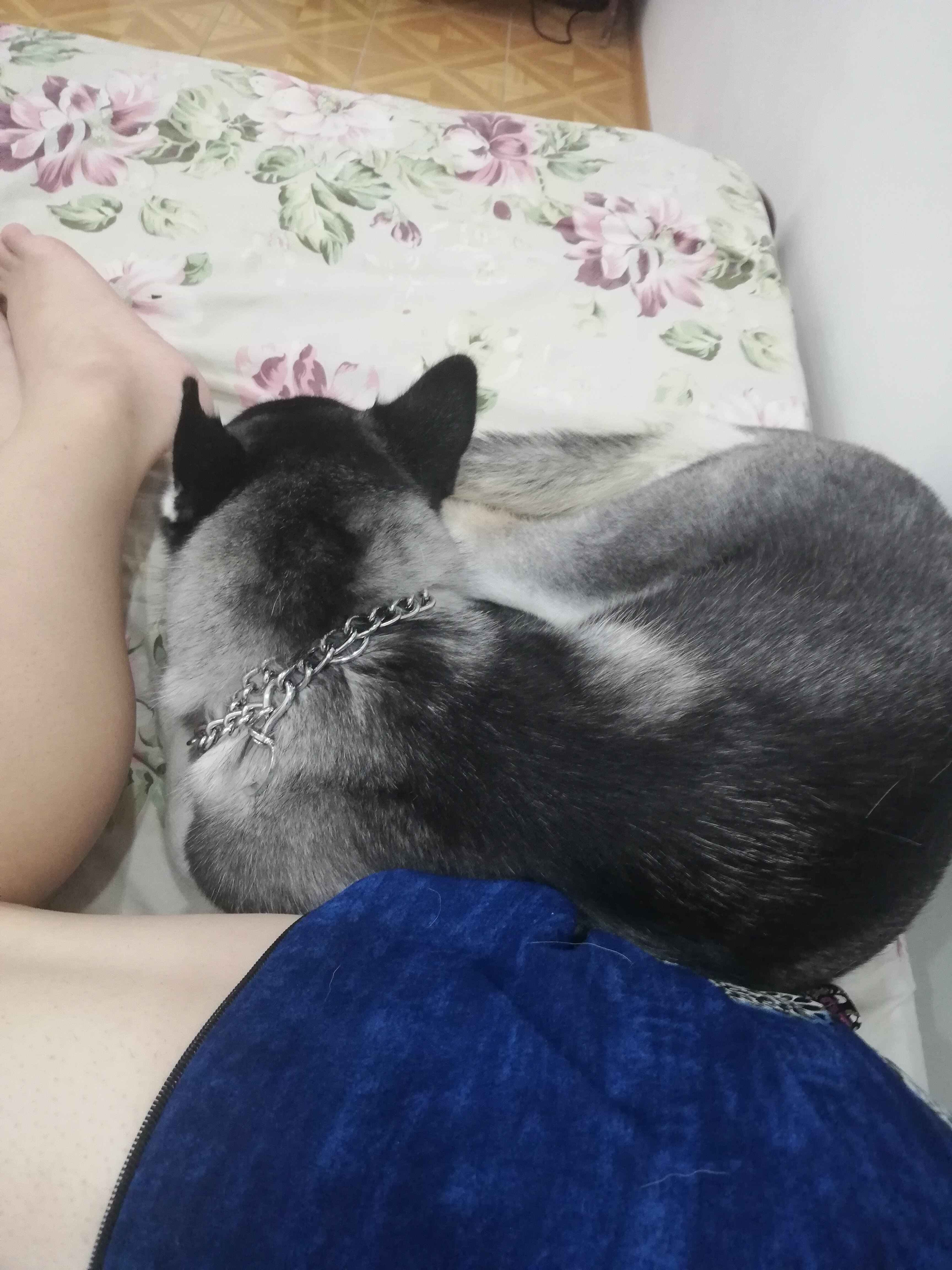 Фото Светлана