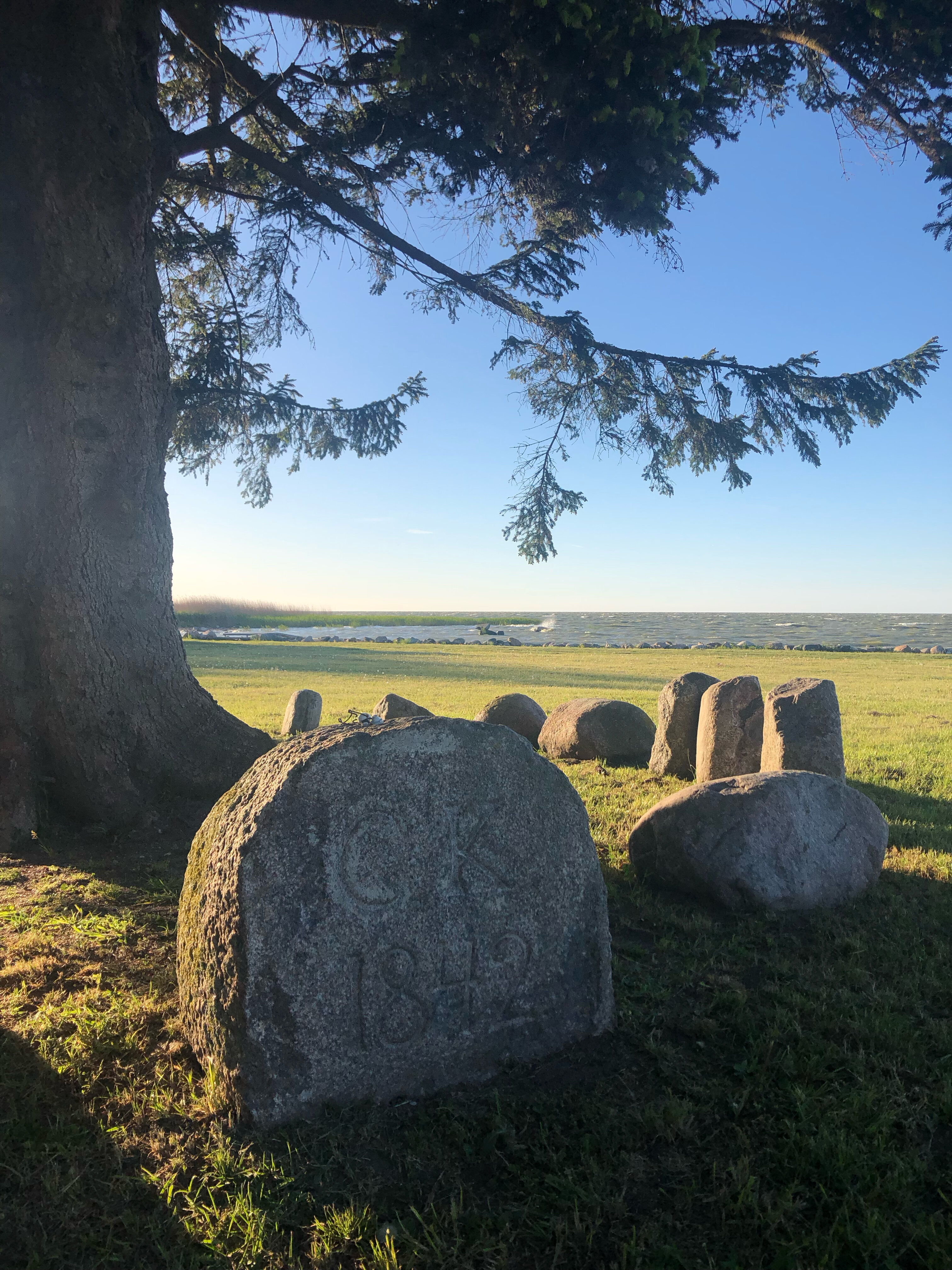 Фото Липовый Парк