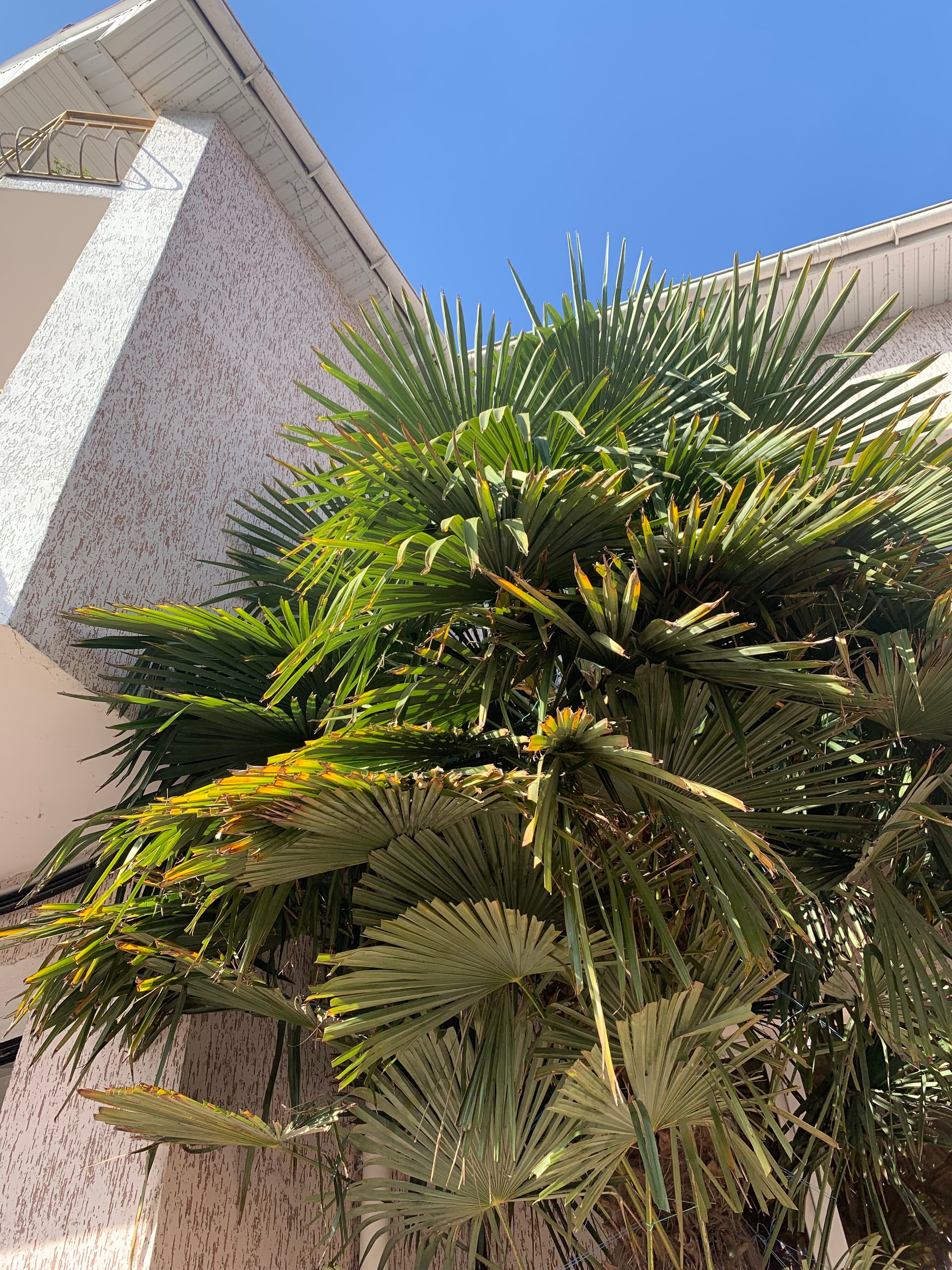 Фото Гамачок у моря