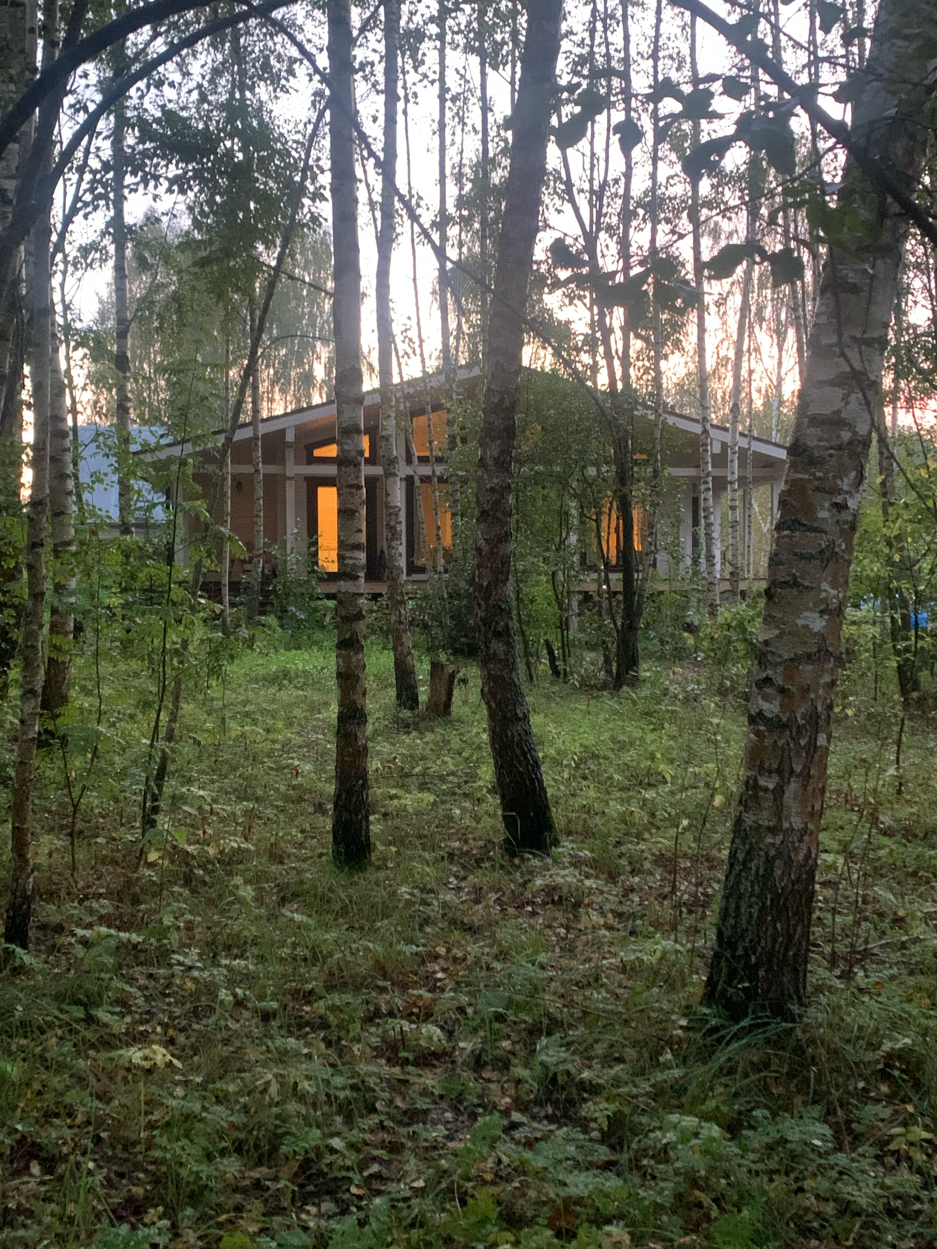 Фото Шале в лесу