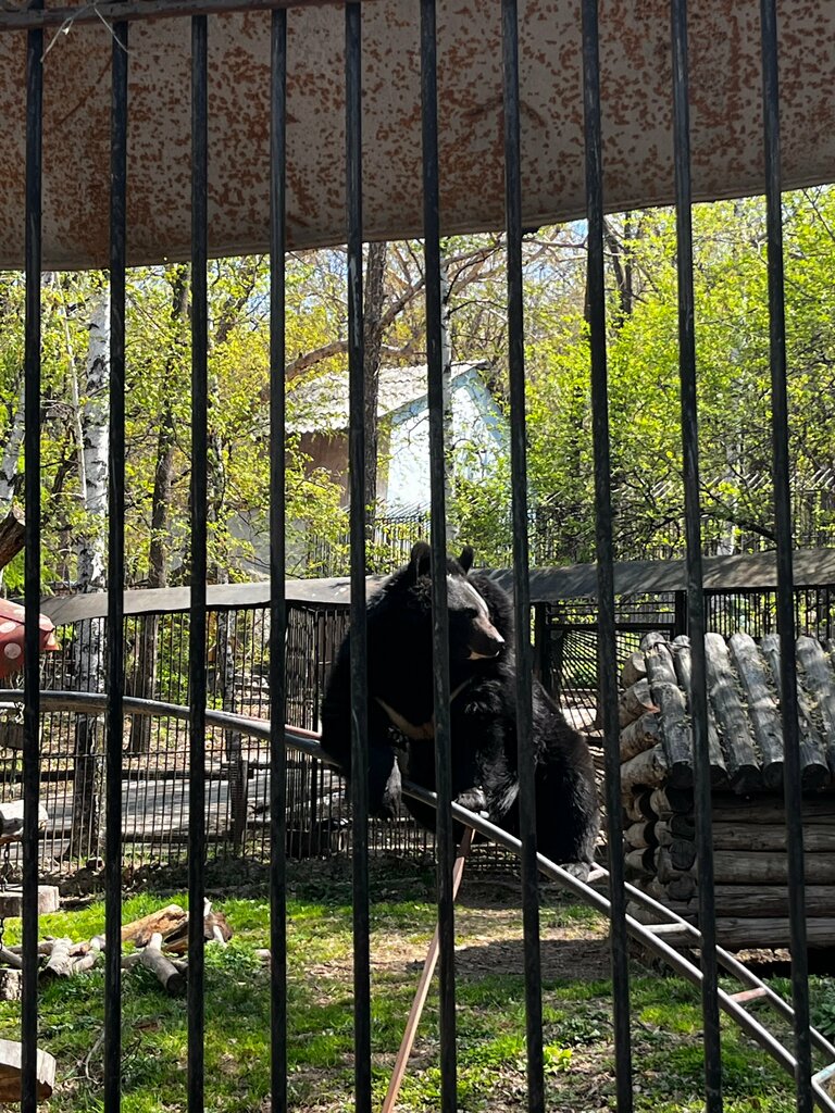 Zoo Кгбук Зоосад Приамурский имени В. П. Сысоева, офис, Khabarovsk, photo