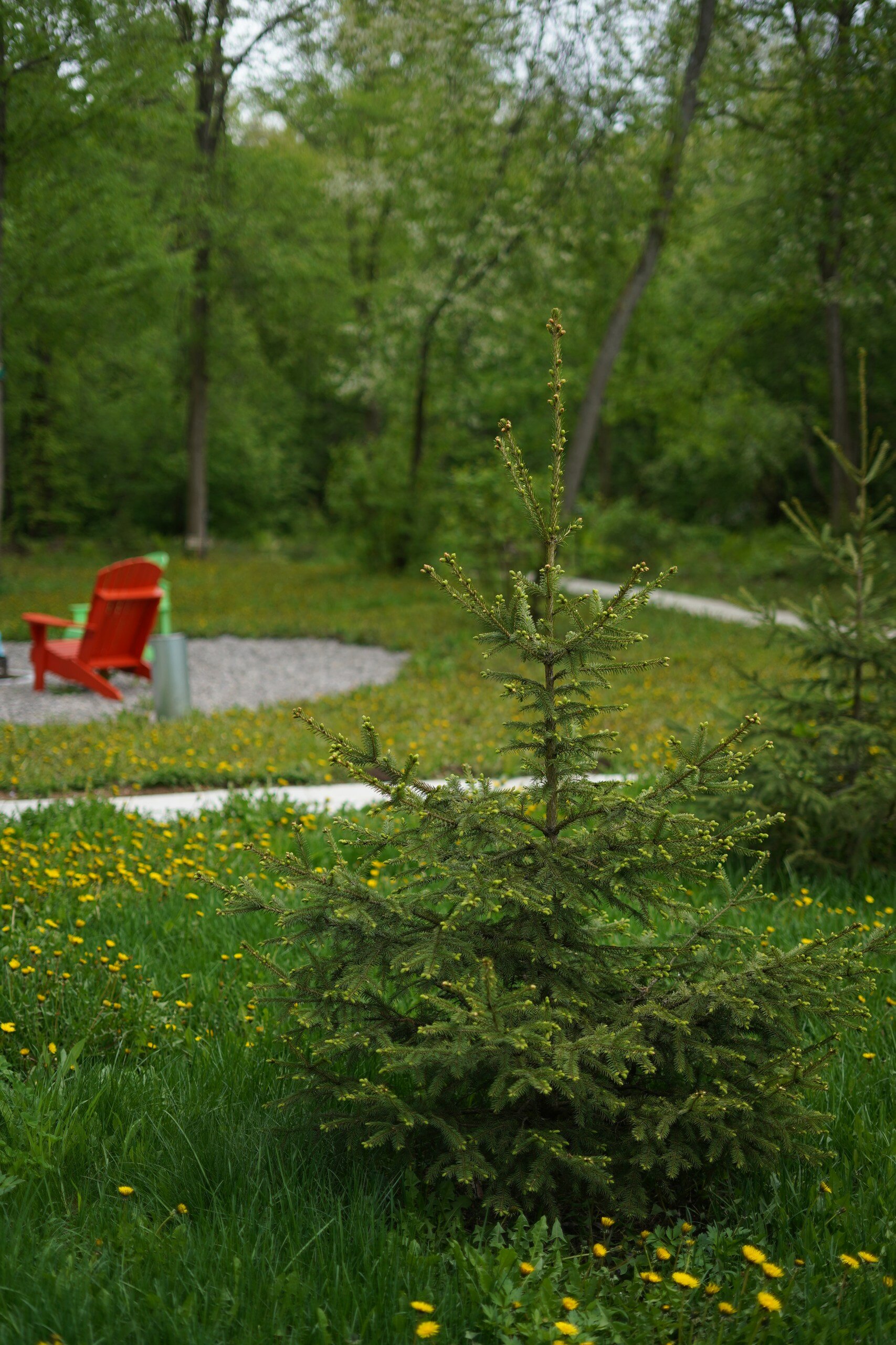 Фото Два Озера