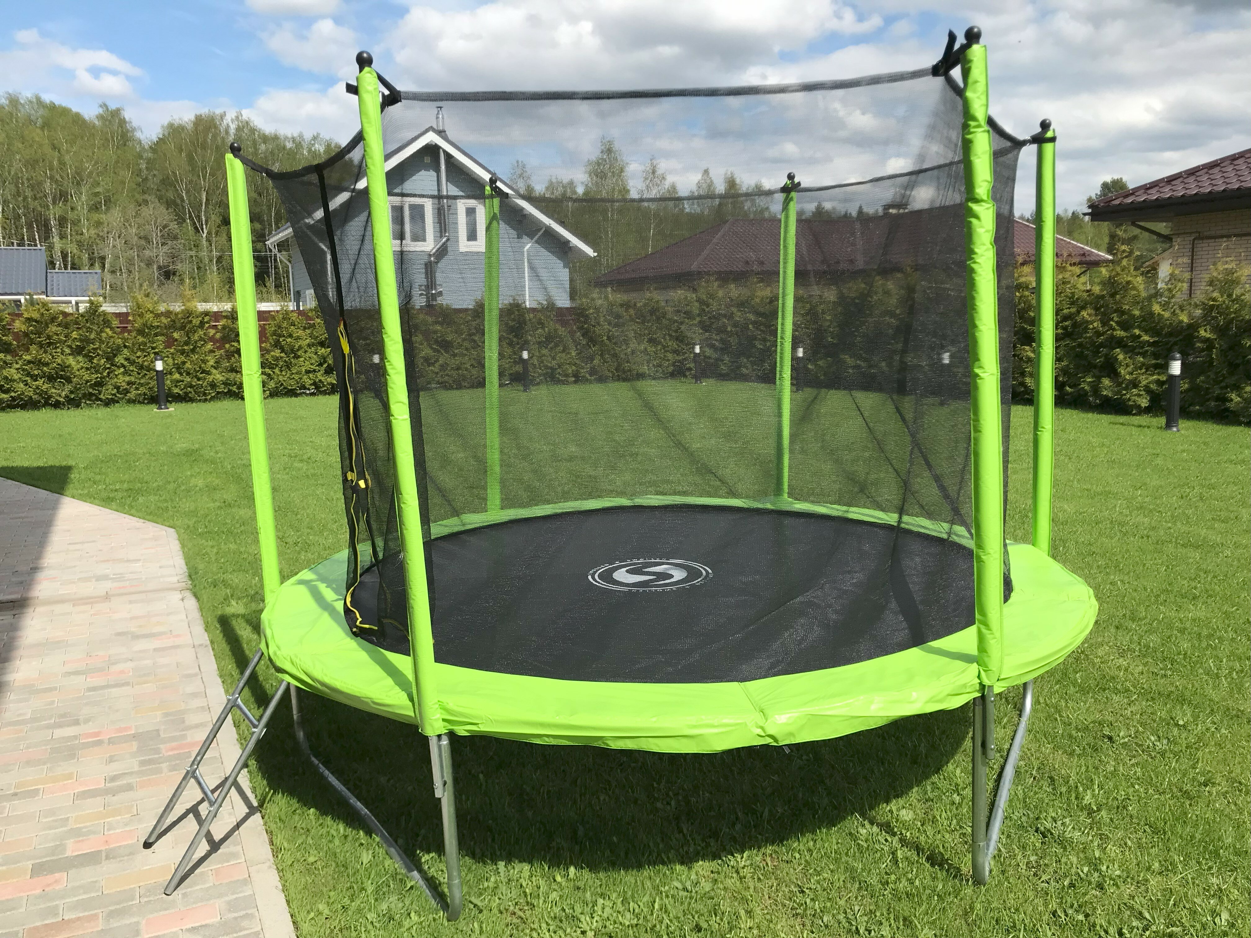 Фото Дельфин