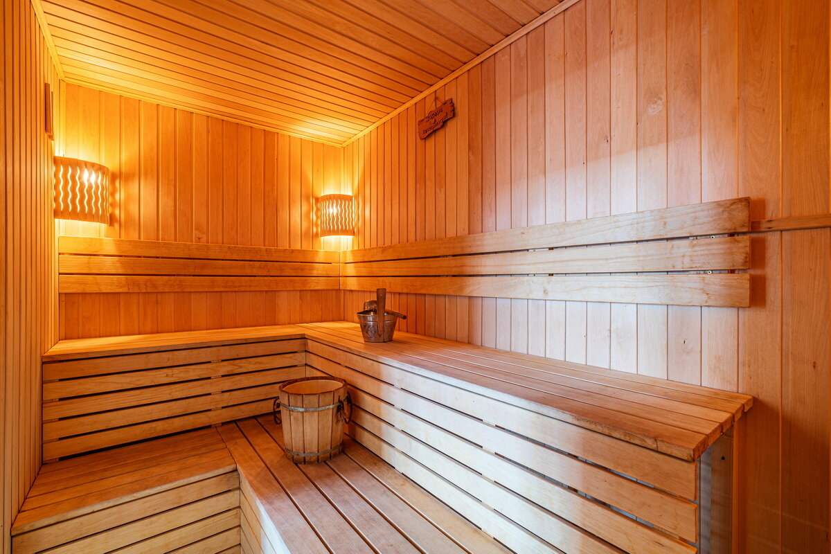 Фото Дельфин