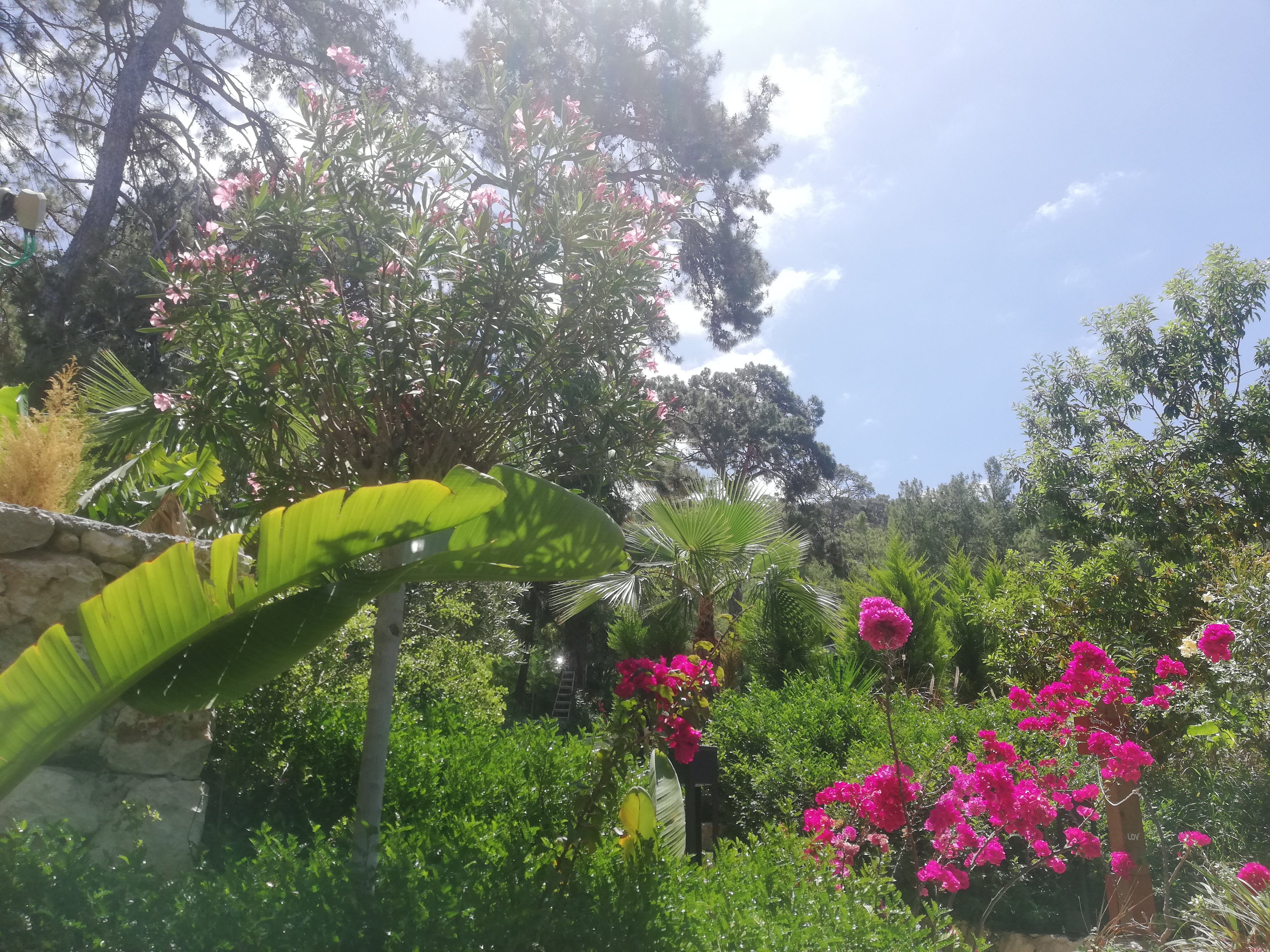 Фото Lov Faralya