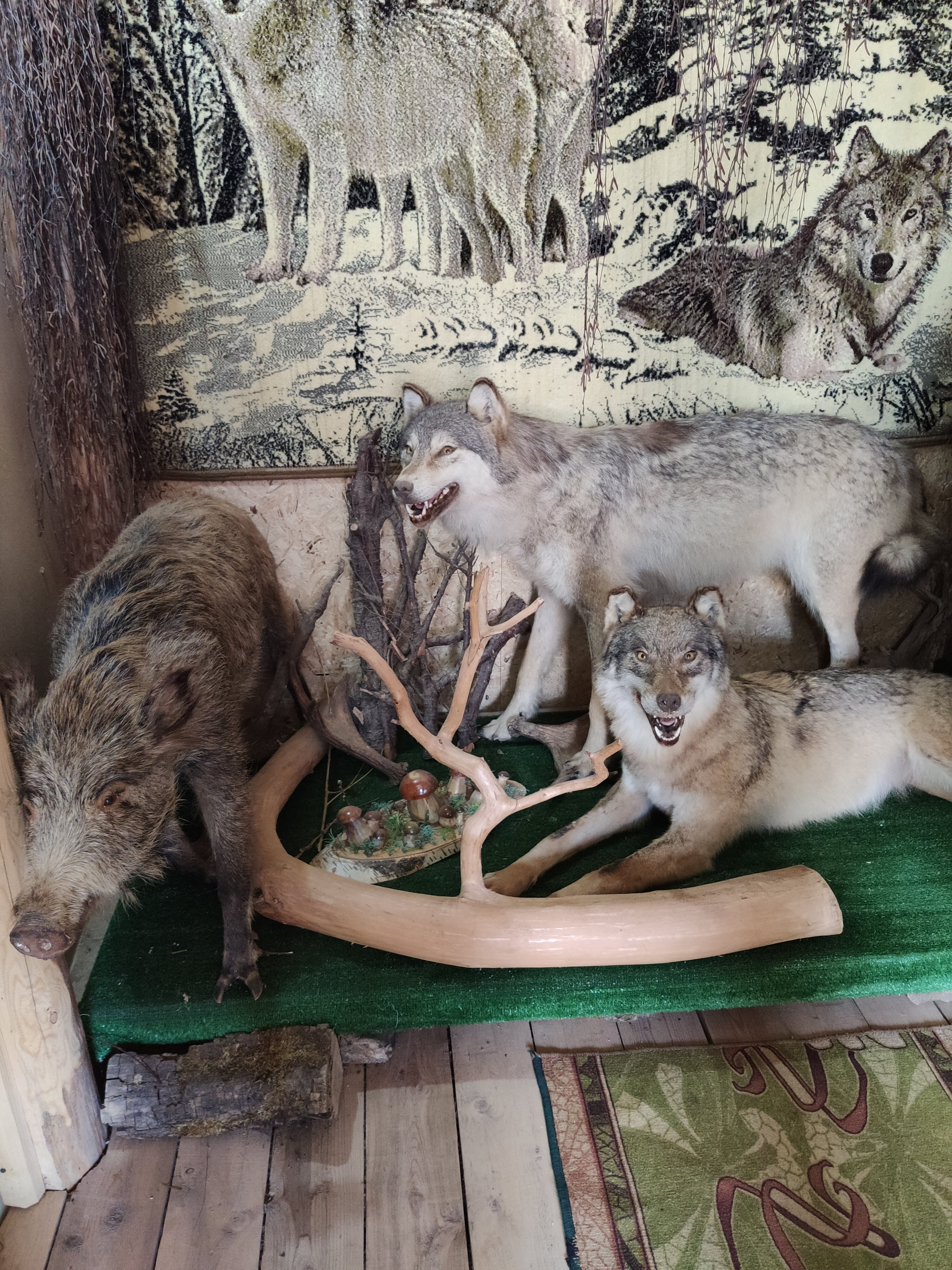 Фото Этнокомплекс Живица