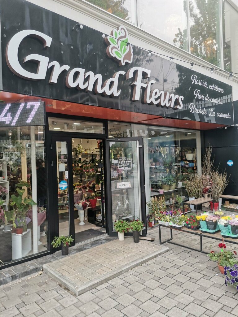 Flower shop Flo. Rista, Kishinev, photo