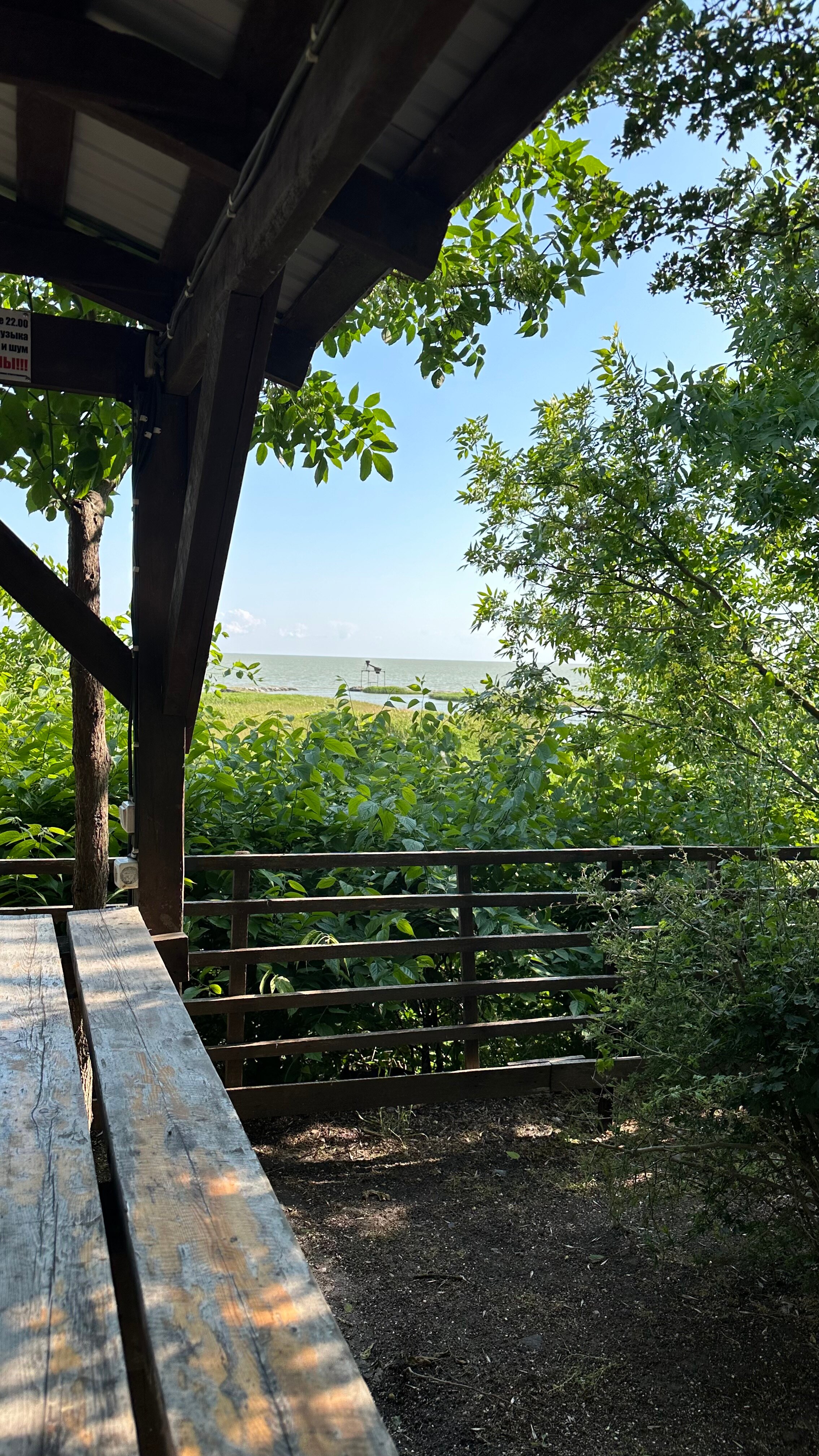 Фото Панорама