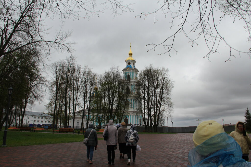 Православный храм Церковь Спаса Всемилостивого в Рядах, Кострома, фото