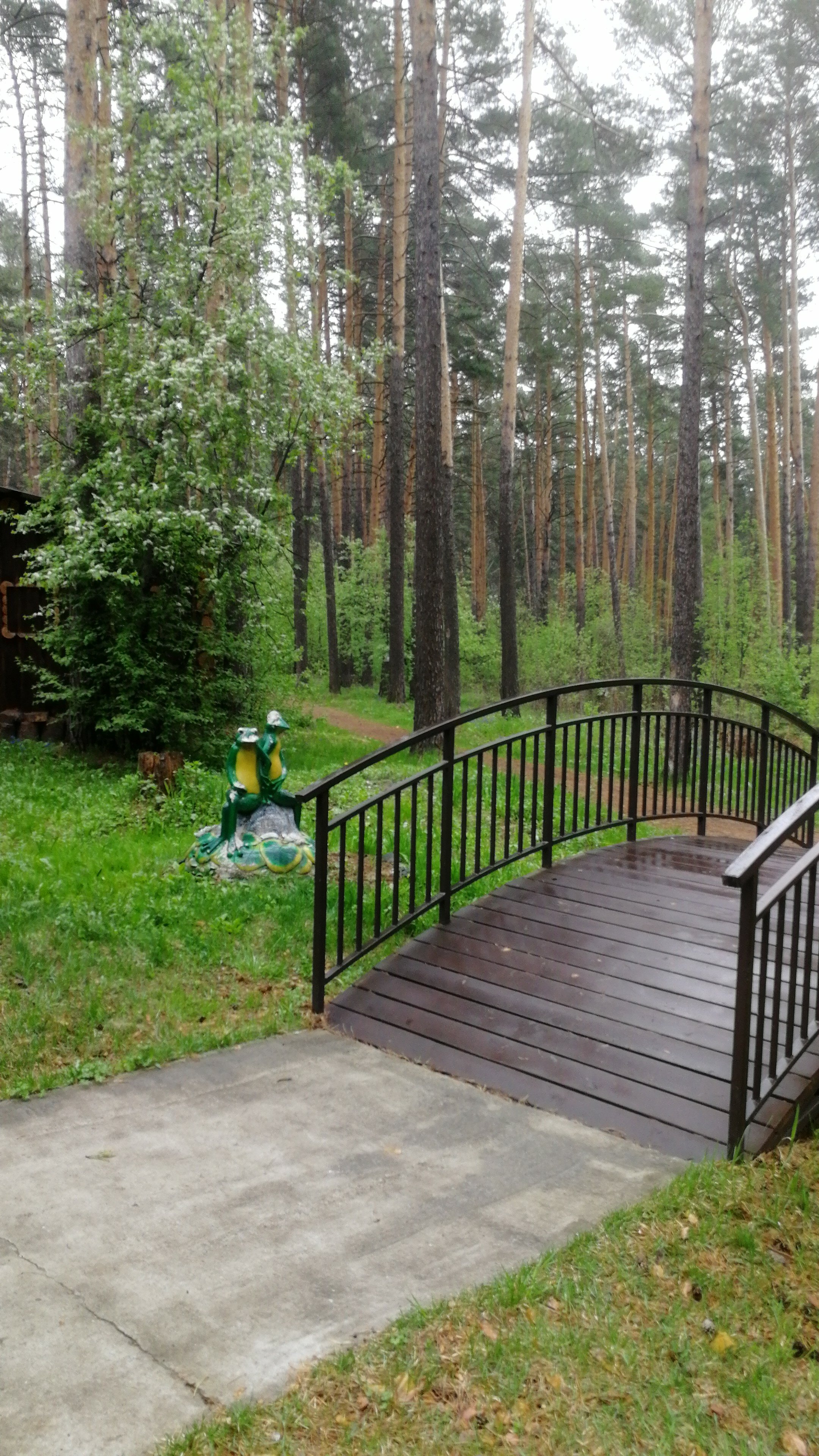 Фото Академия