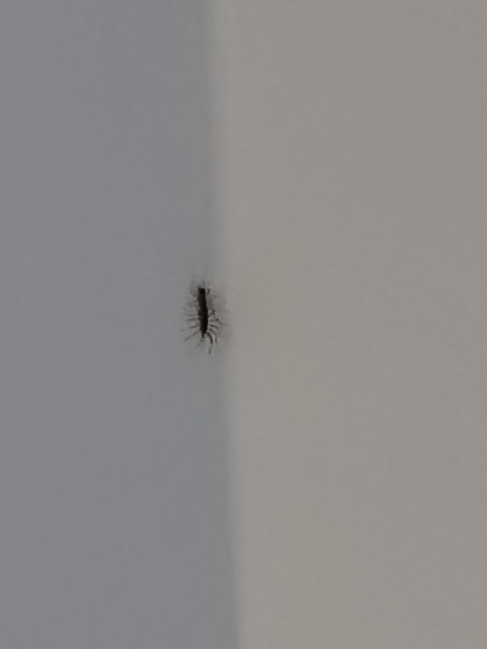 Фото Европа