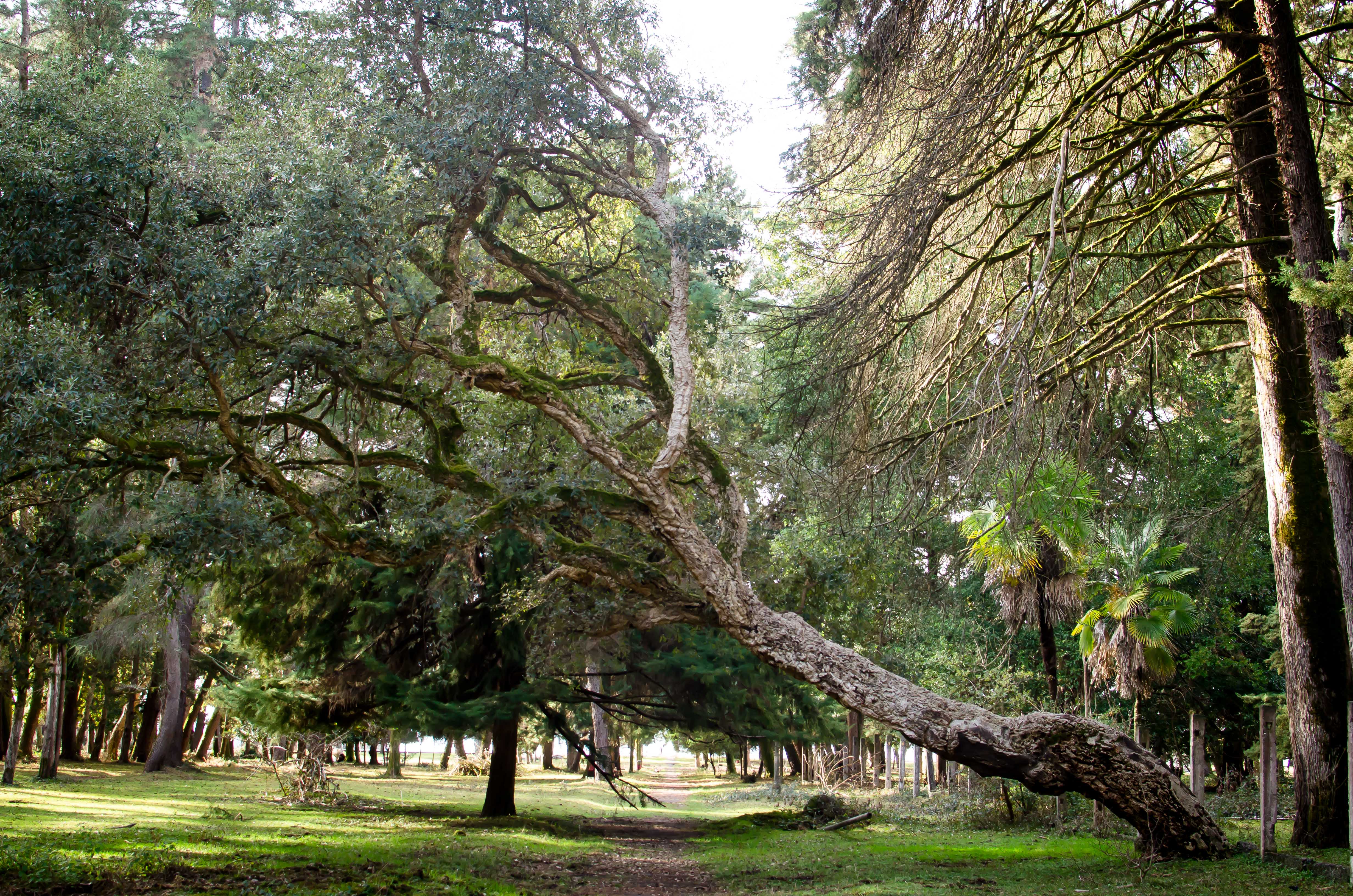 Фото Домик у моря