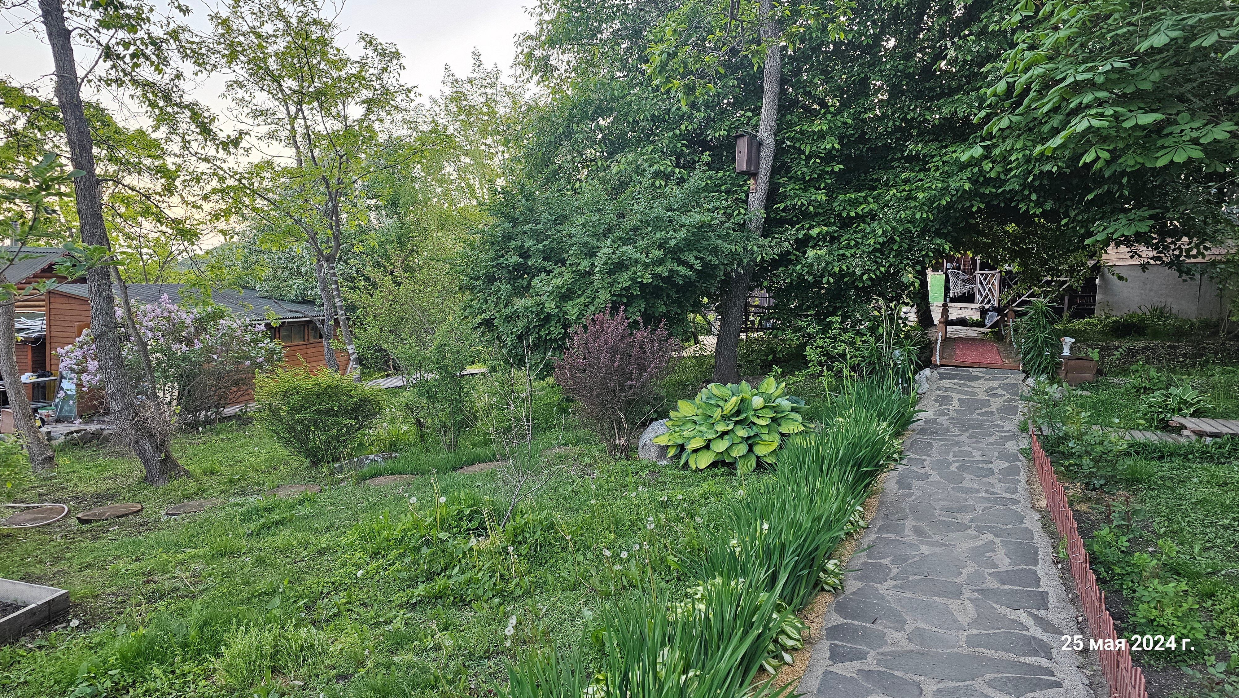 Фото Ольховая