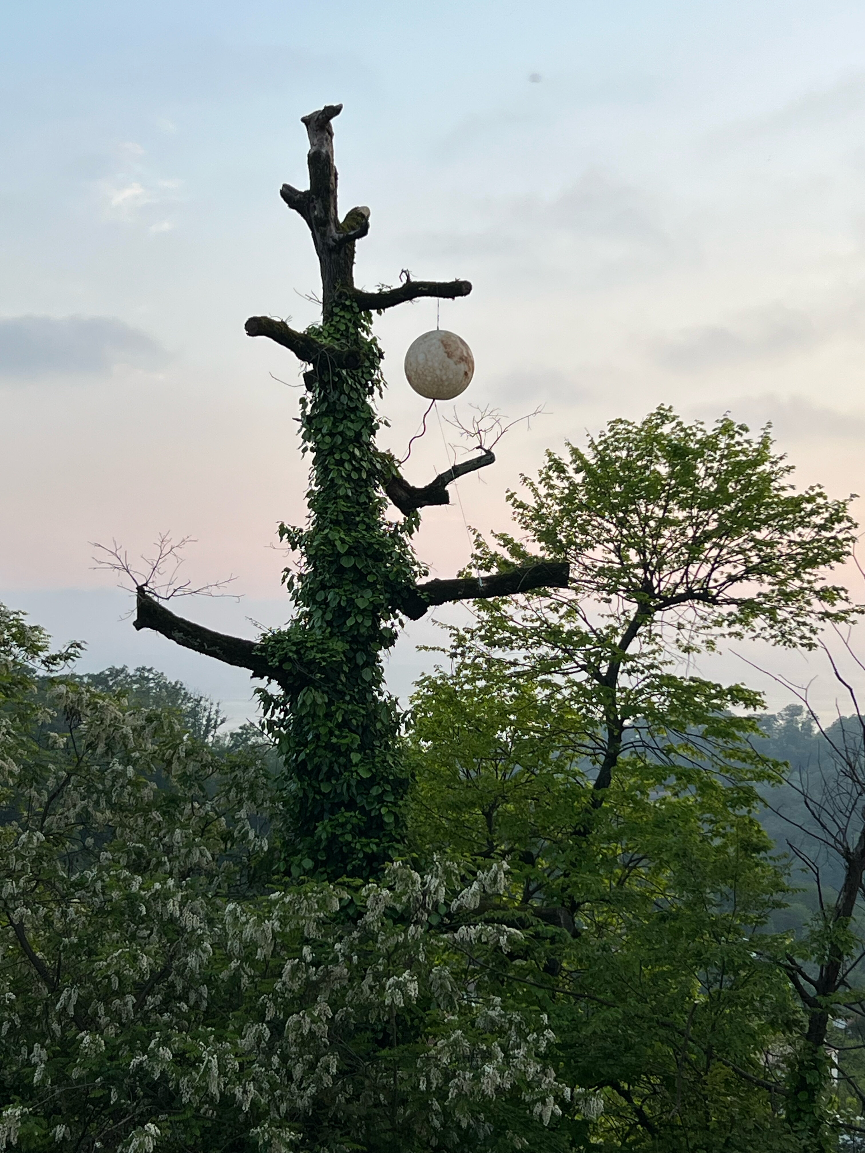 Фото Spatium Wellness Center