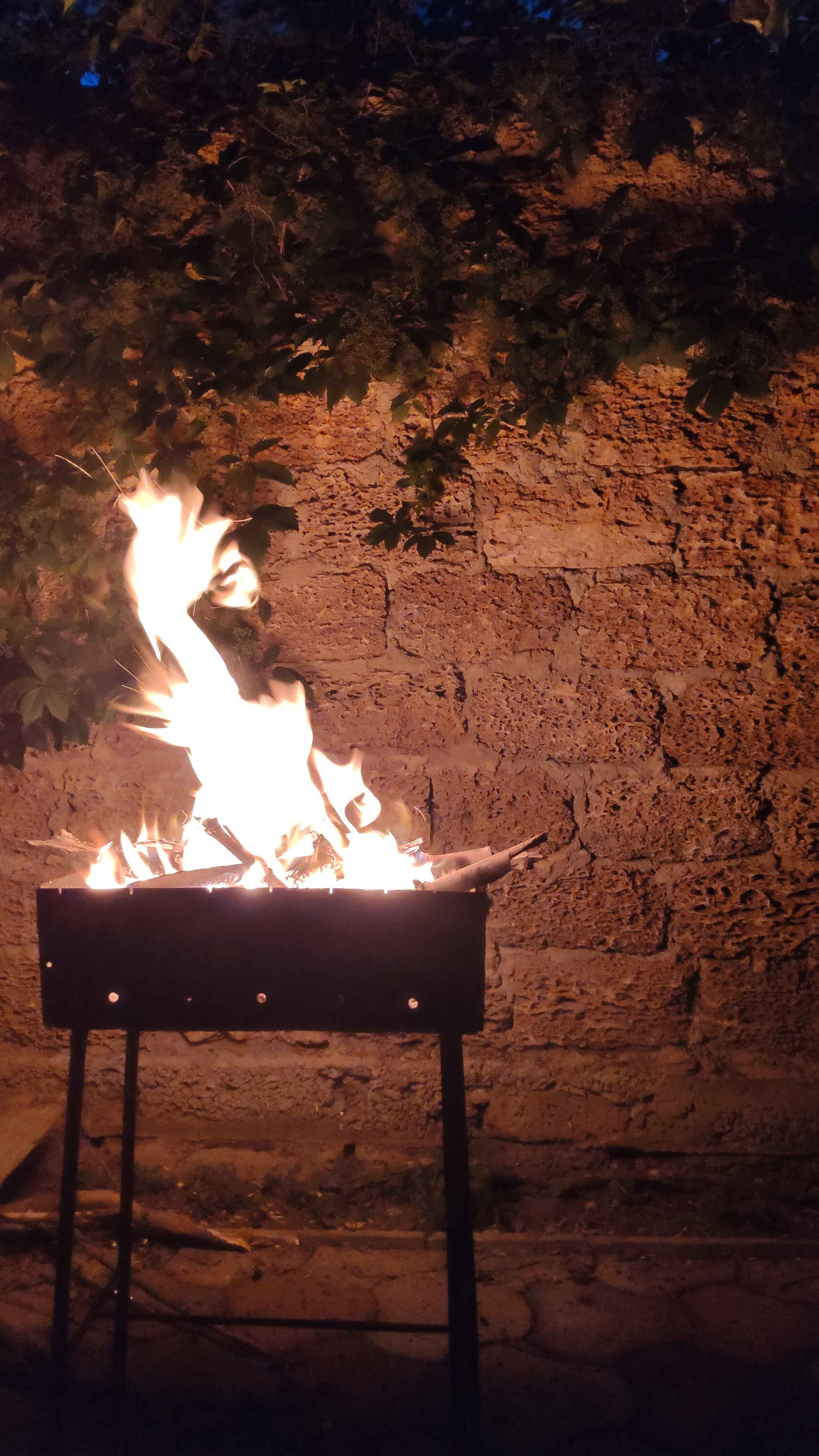 Фото Летний дом Сивэй