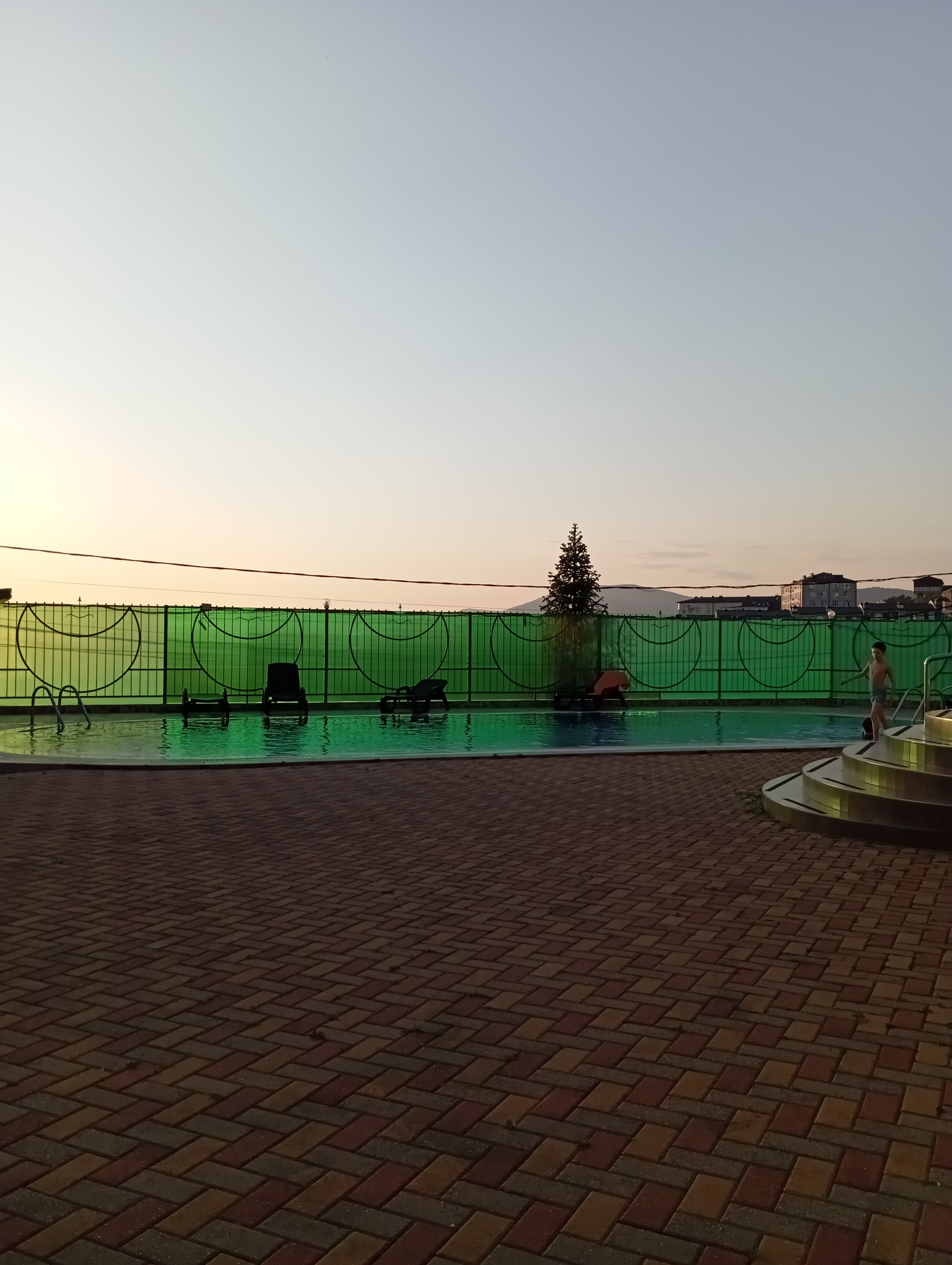 Фото Эдельвейс