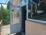 Cross shops (Generala Merkulova Street, 16Б), sportswear and shoes