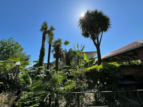 Гостиница Форелька в Гагре