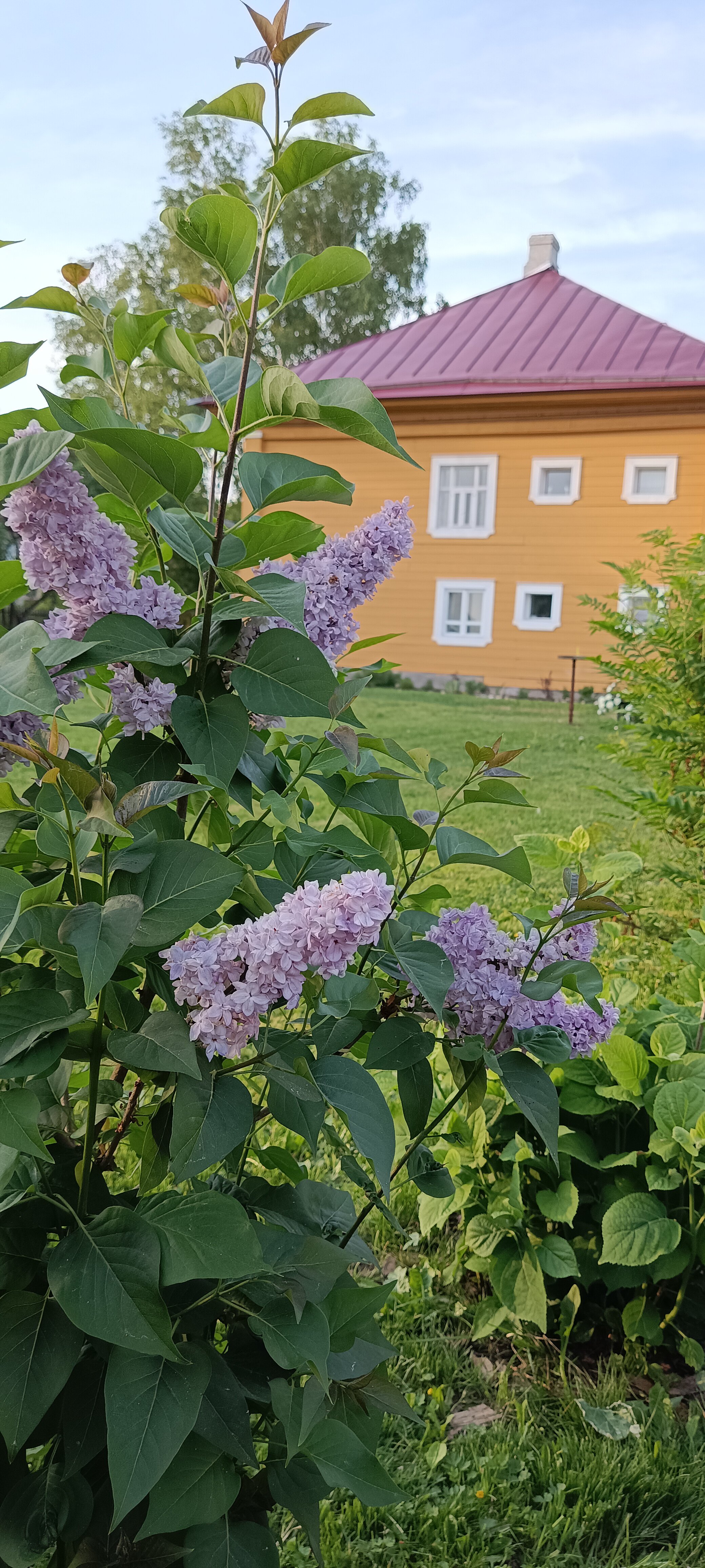 Фото Мам, я на Волге!